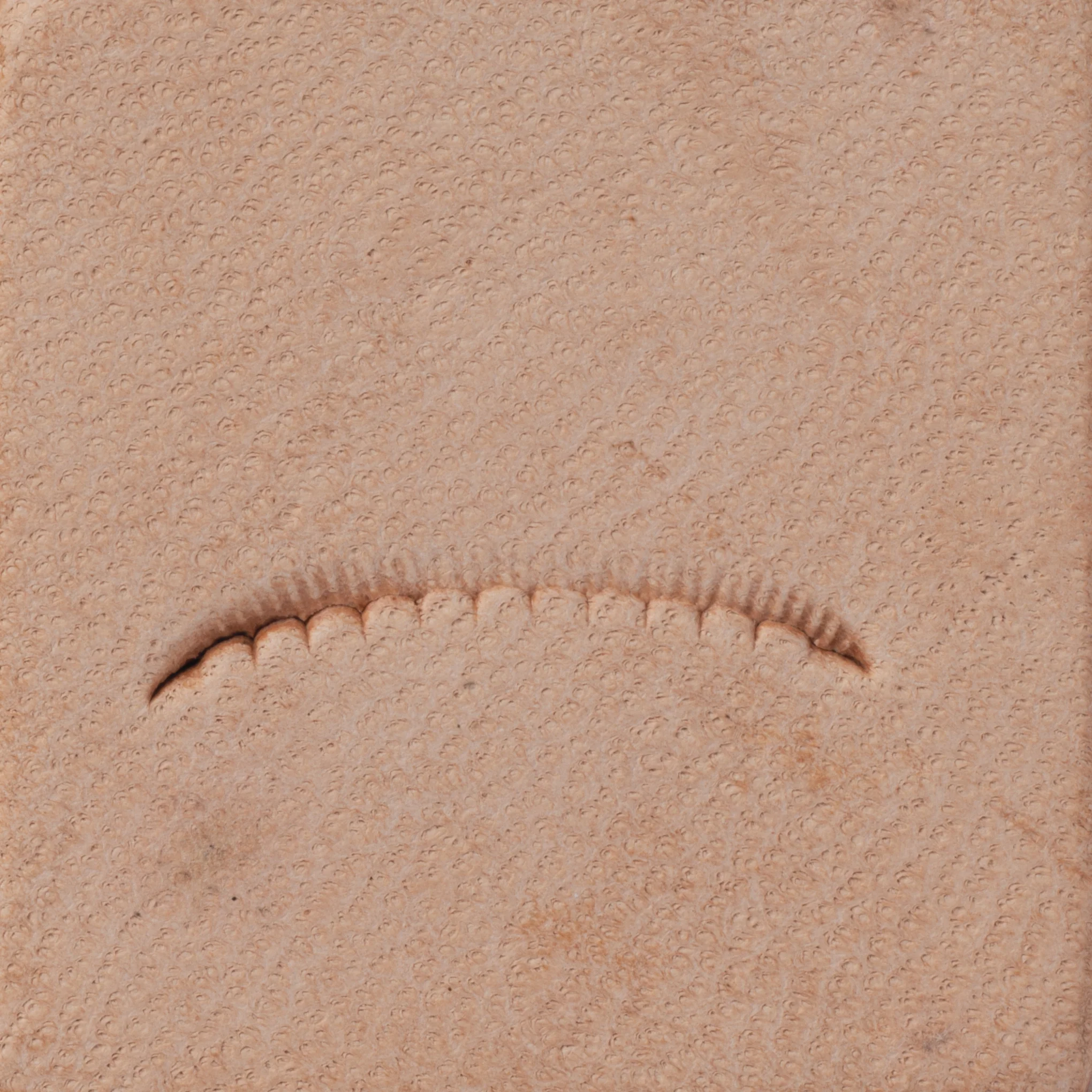 10529-veiner-scalloped-stamping-tool-1.webp