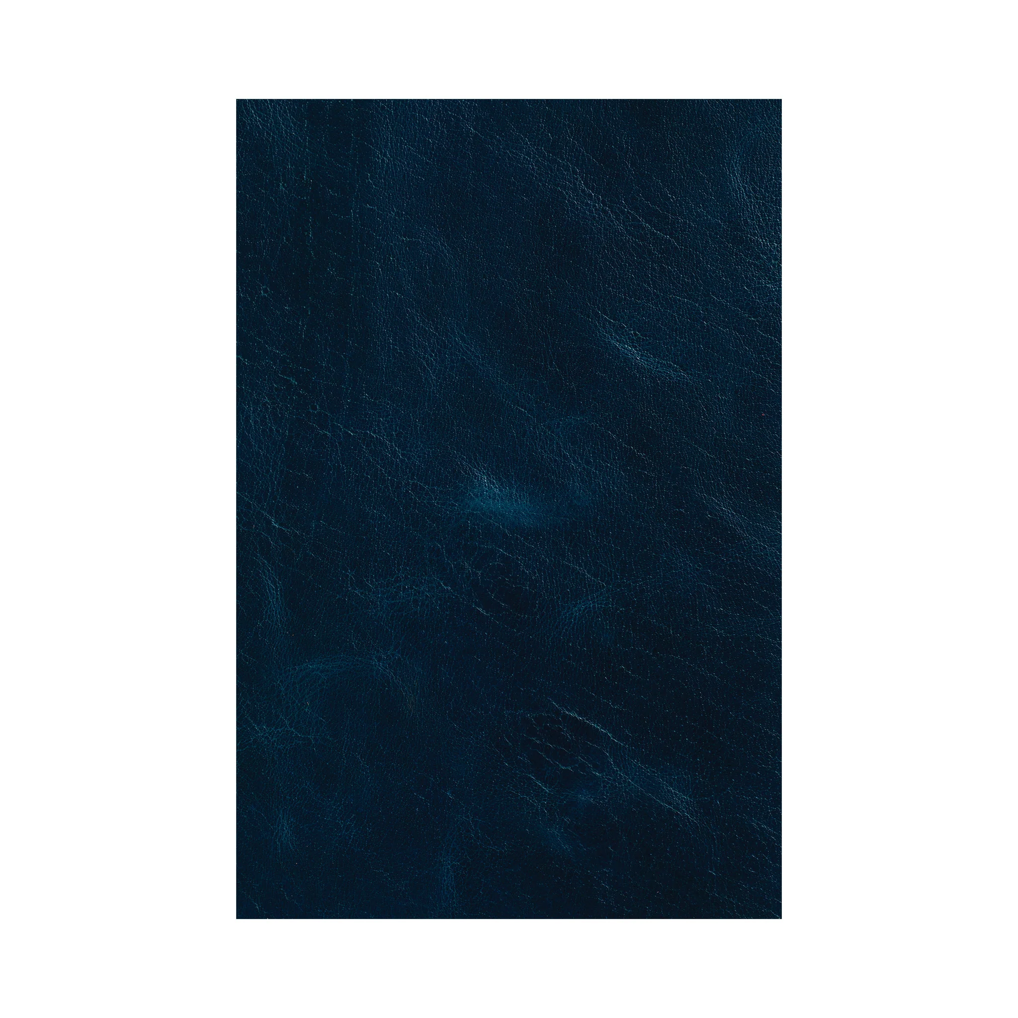 10817-western-crunch-water-buffalo-leather-panel-1.webp