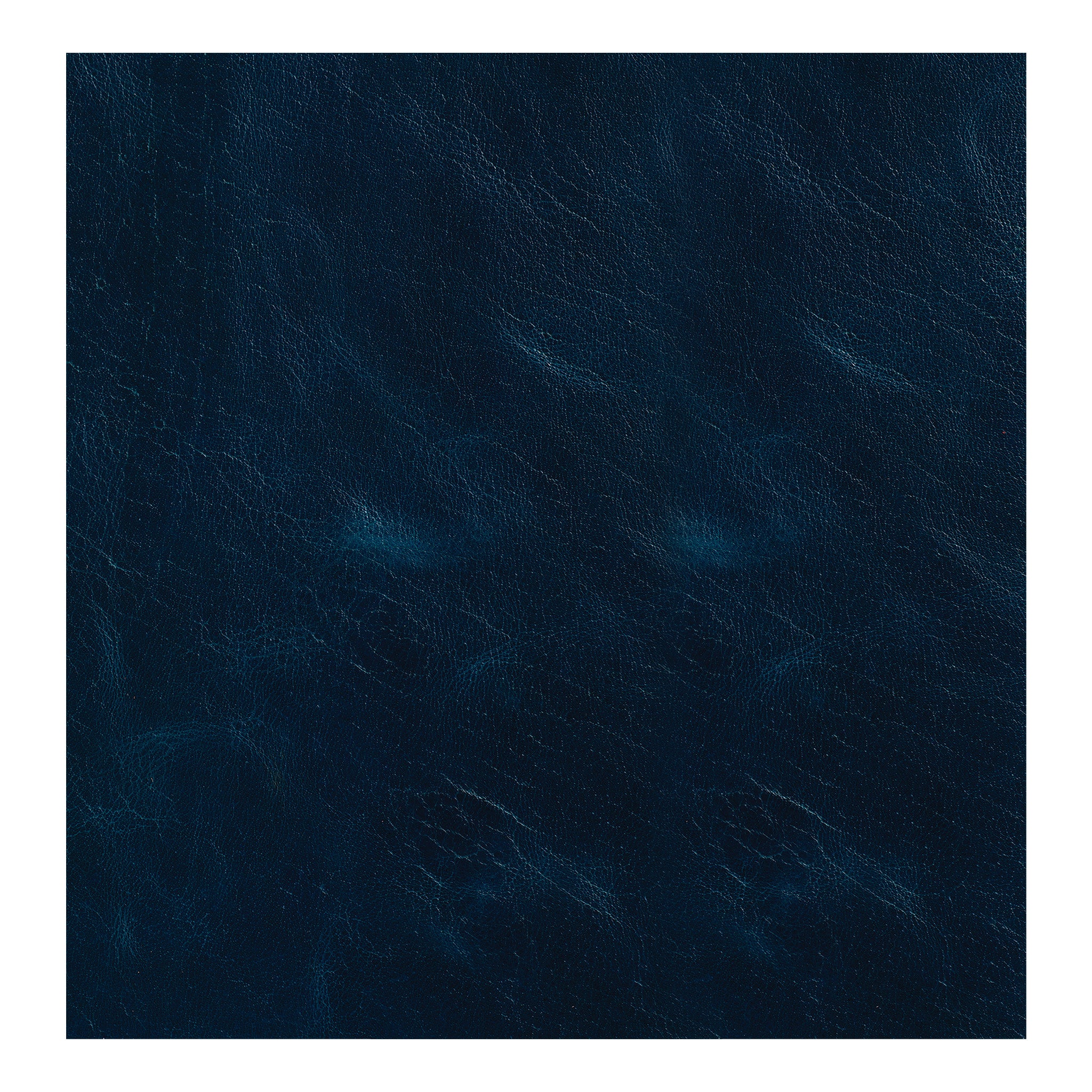 10817-western-crunch-water-buffalo-leather-panel-1.webp