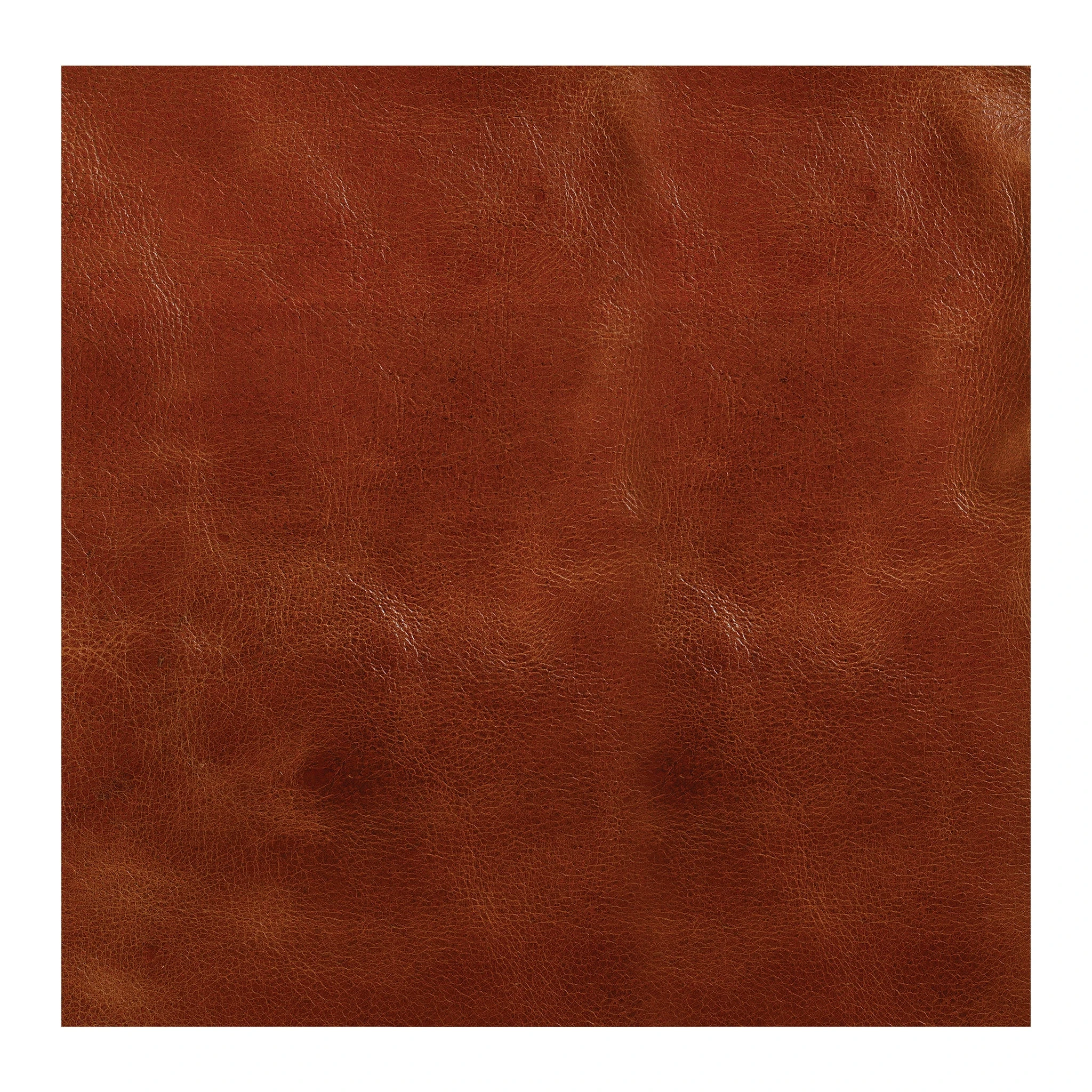 10817-western-crunch-water-buffalo-leather-panel-1.webp