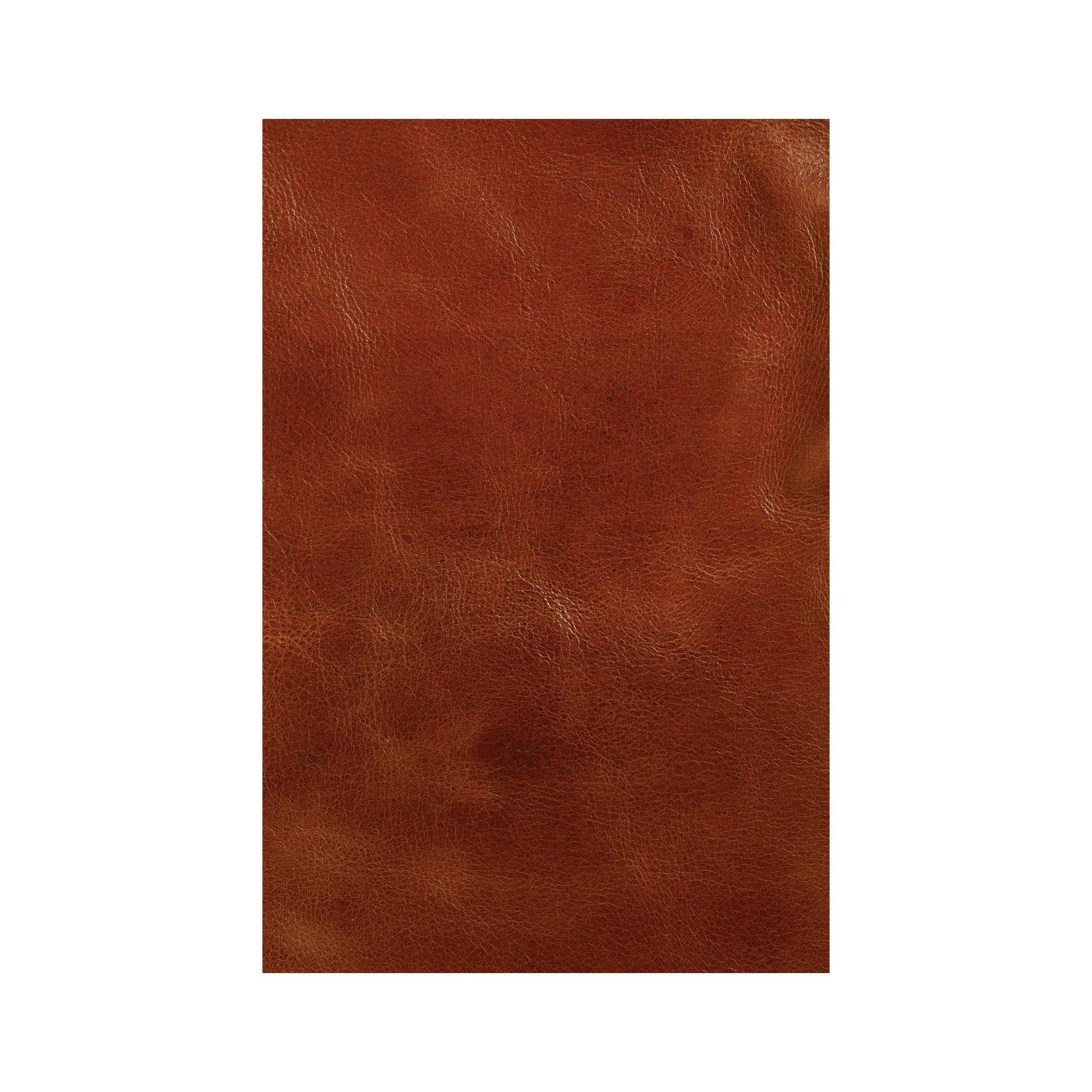 10817-western-crunch-water-buffalo-leather-panel-1.webp