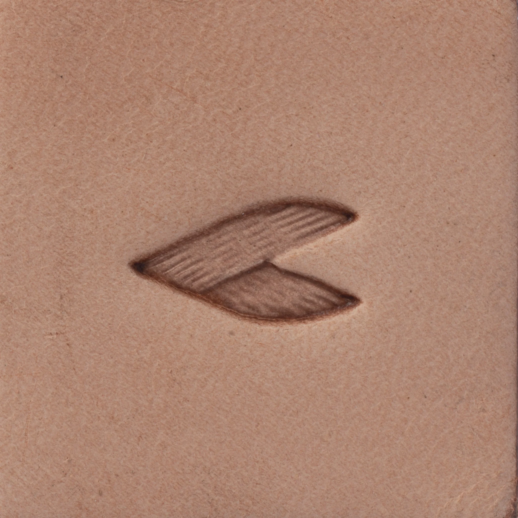10910-woven-border-stamping-tool-d2187-1.webp
