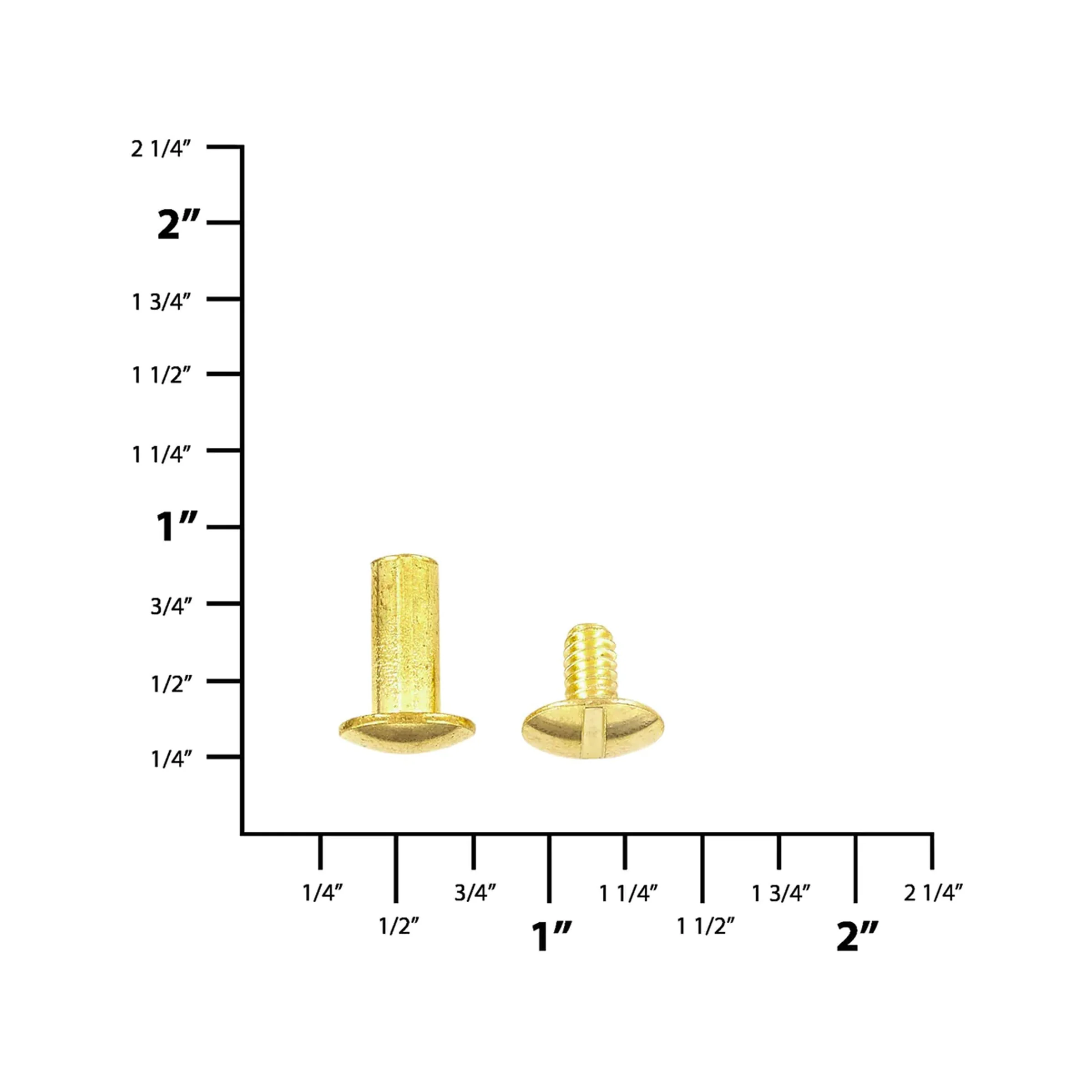 3289-1-2-brass-chicago-screw-solid-brass-pk10-l-156-1-2sb-1.webp