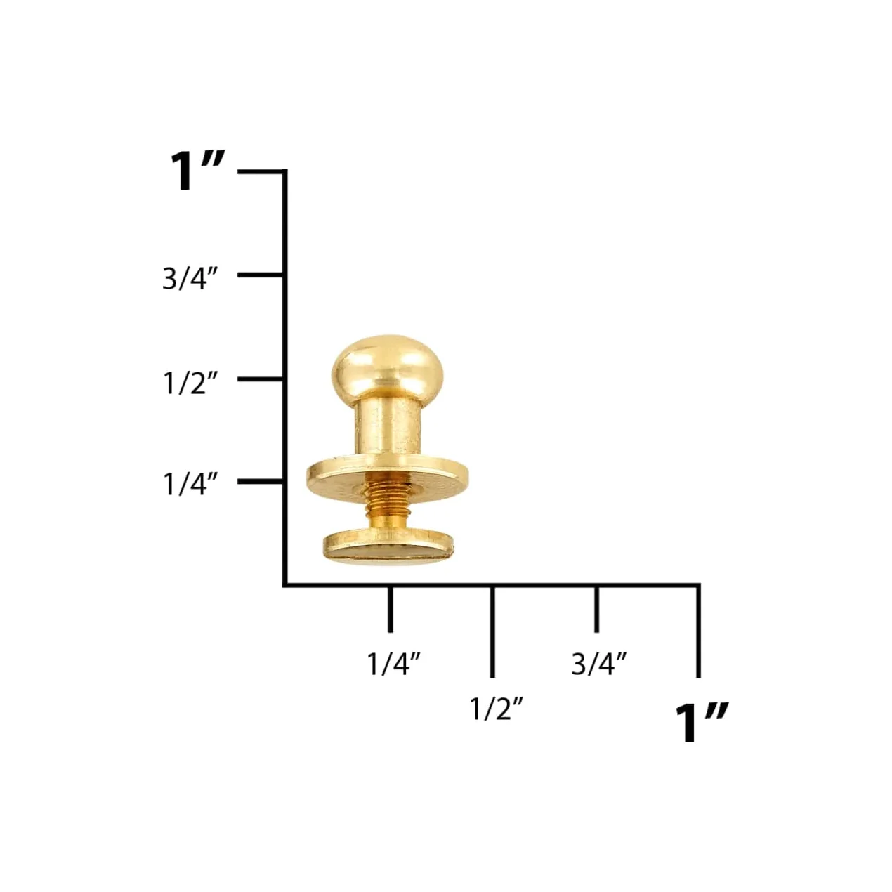 3669-10mm-brass-round-top-collar-button-stud-with-screw-solid-brass-pk5-p-2509-sb-1.webp