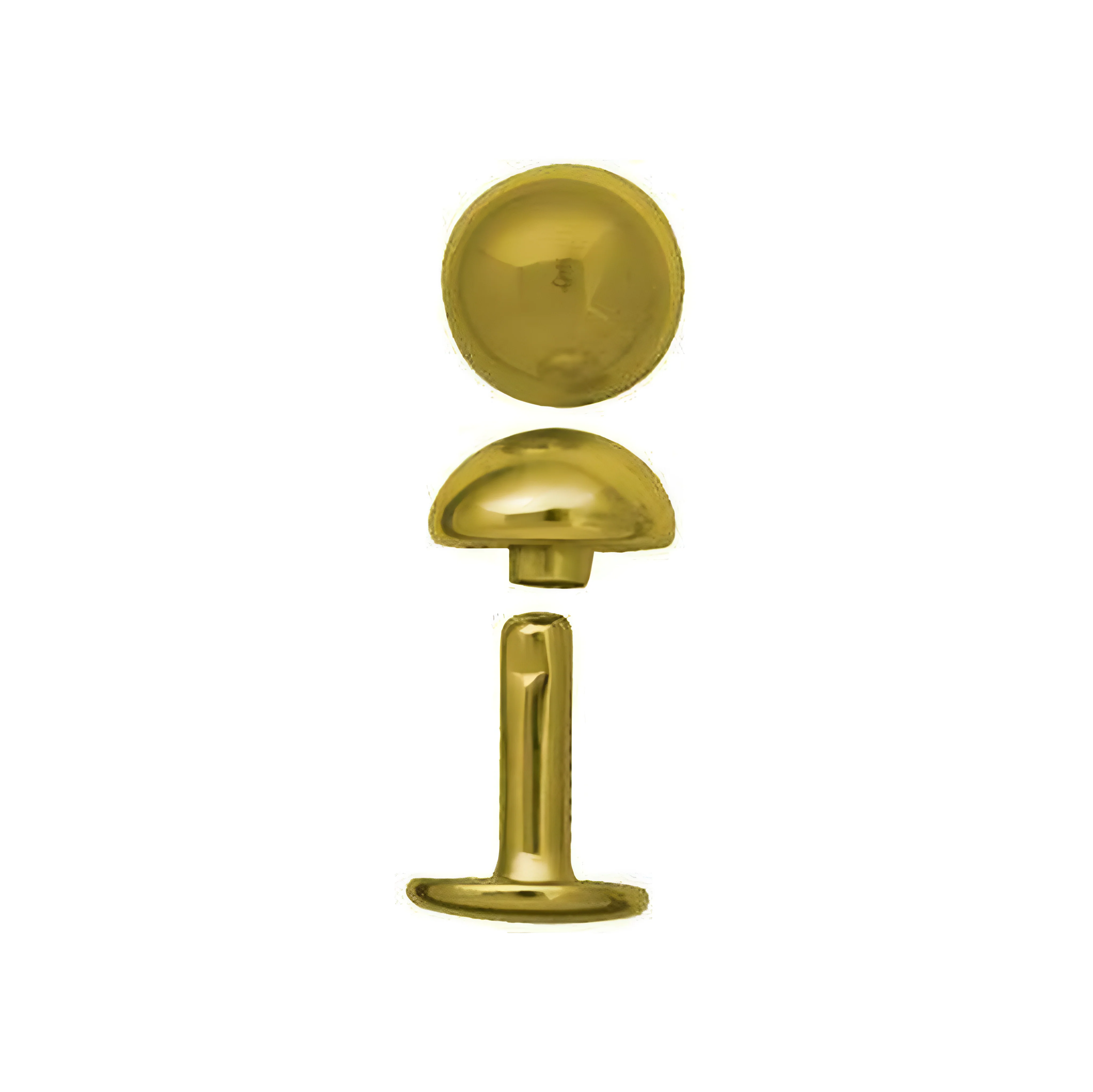 13 mm Gold, Double Cap Domed Rivet, Steel - 12pk, #A-411-GP 1 3770-13-mm-gold-double-cap-domed-rivet-steel-12pk-a-411-gp-1.webp