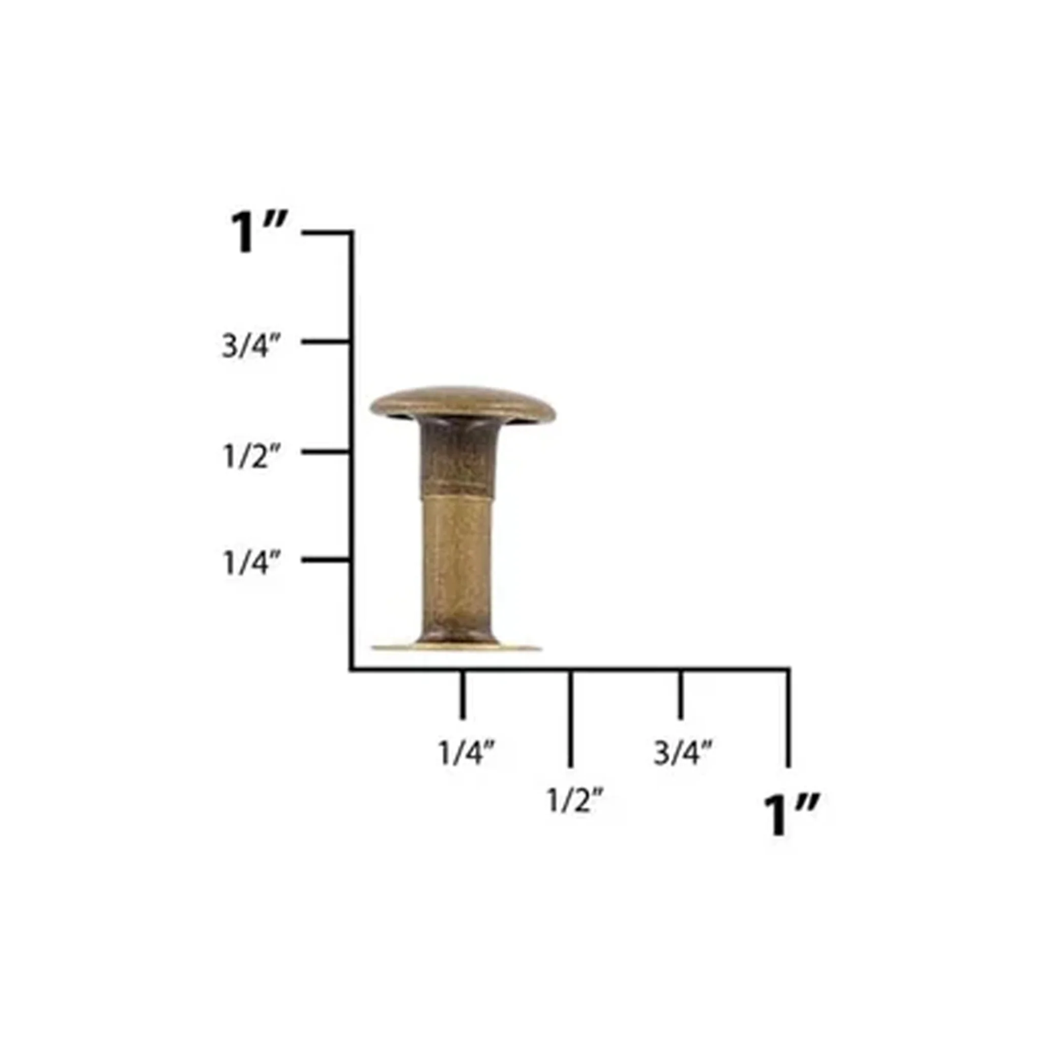 3856-15mm-antique-brass-single-cap-jiffy-rivets-solid-brass-100ct-515s-antb-1.webp