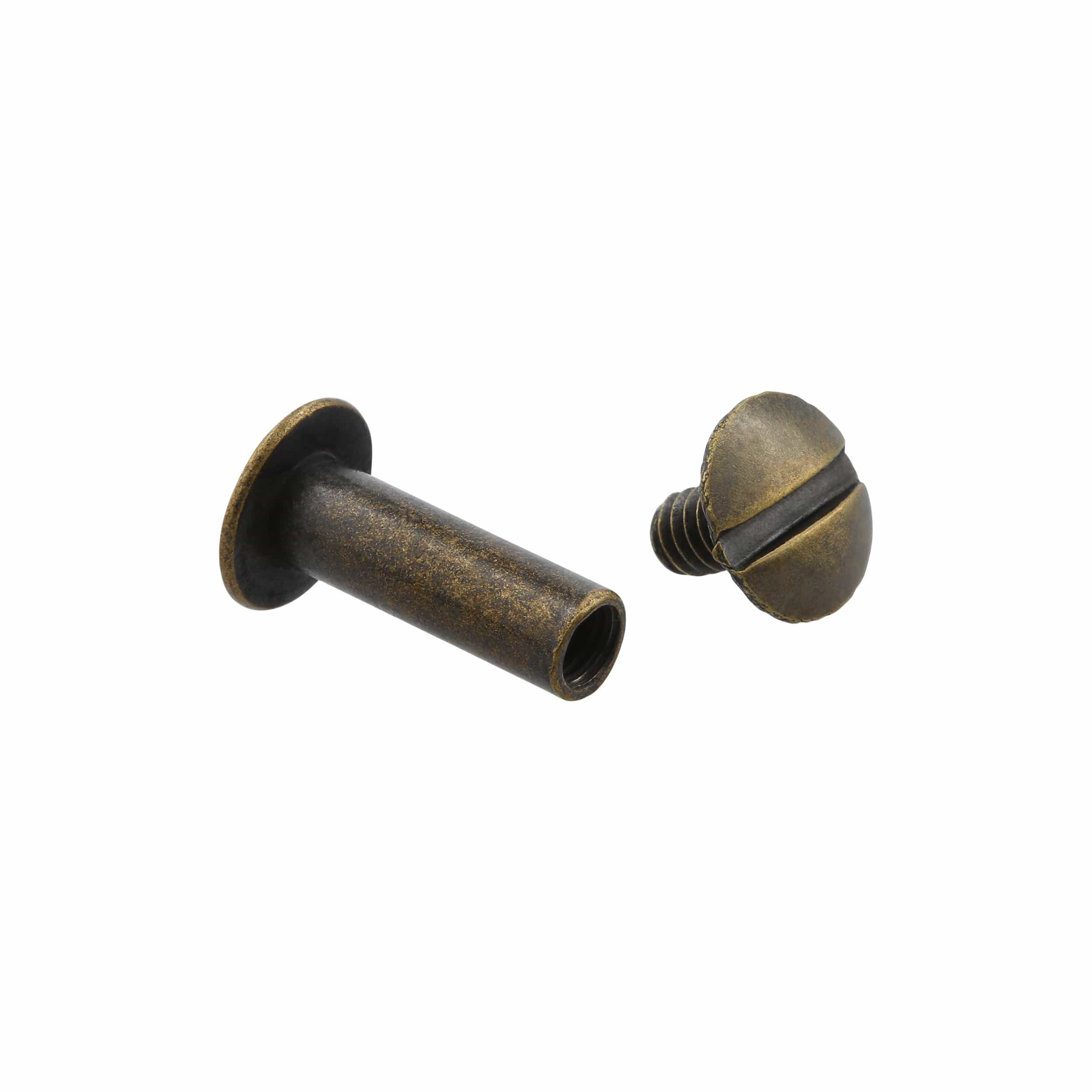 4738-5-8-antique-brass-chicago-screw-solid-brass-pk10-l-156-5-8-antb-1.jpg