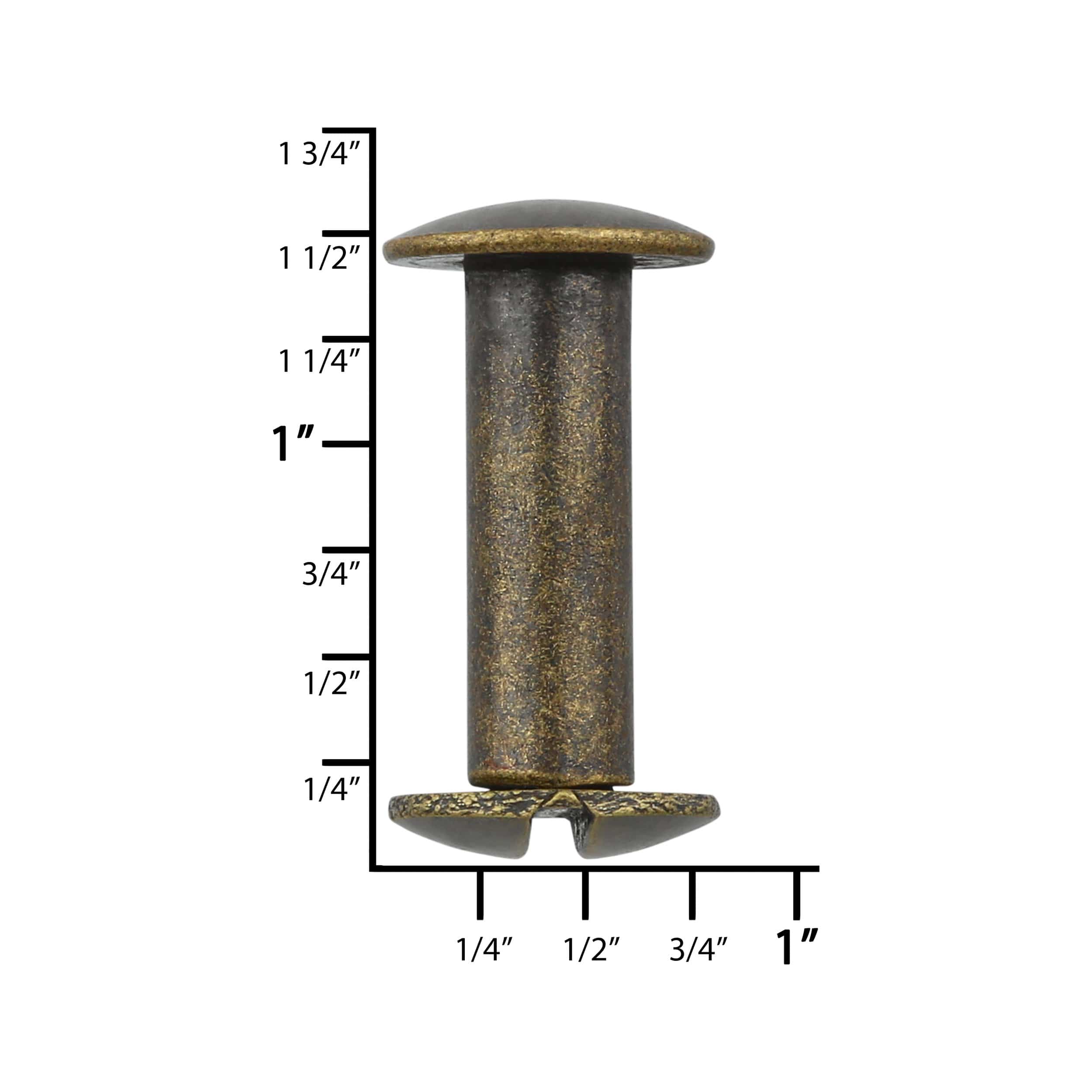 4738-5-8-antique-brass-chicago-screw-solid-brass-pk10-l-156-5-8-antb-1.jpg