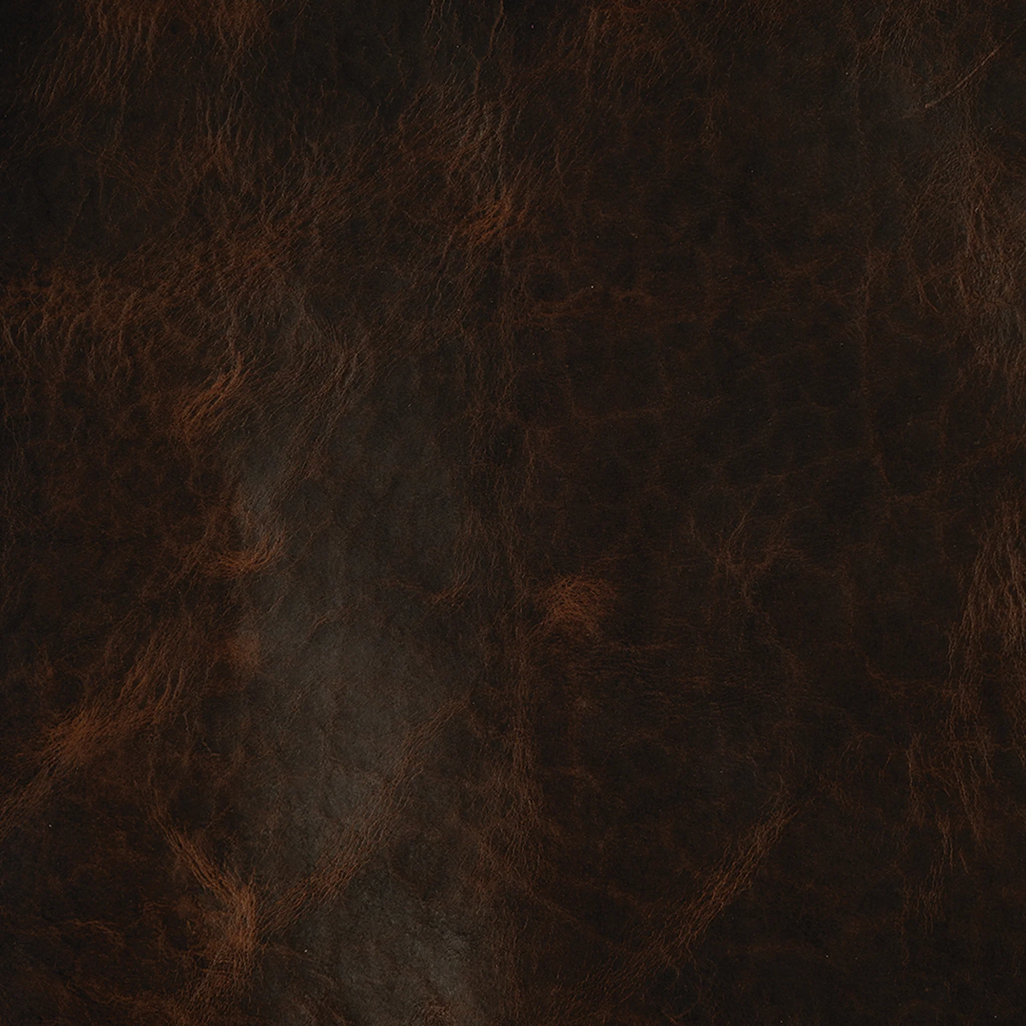 5304-american-bison-leather-side-1.webp