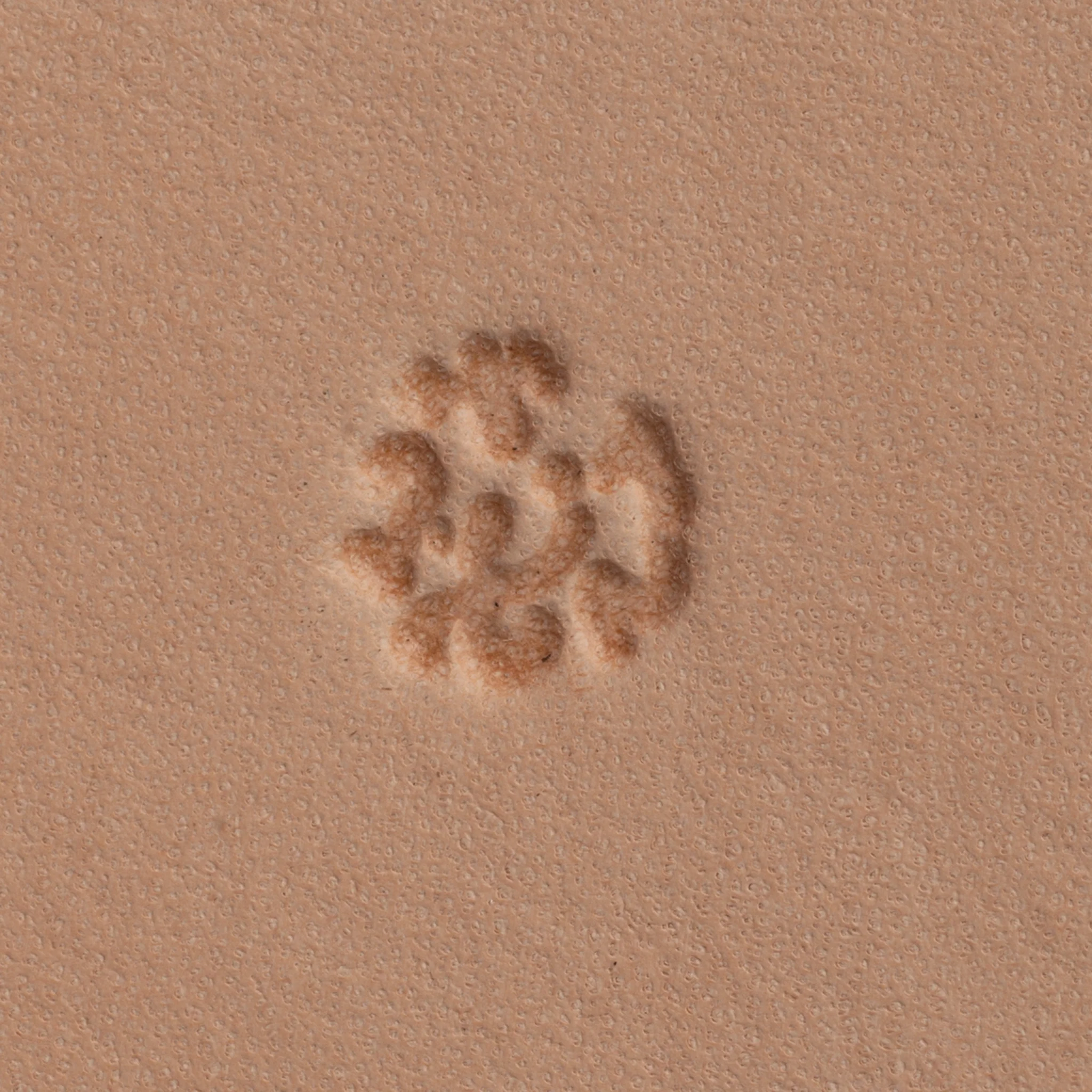 5821-camoflauge-background-stamping-tool-1.webp