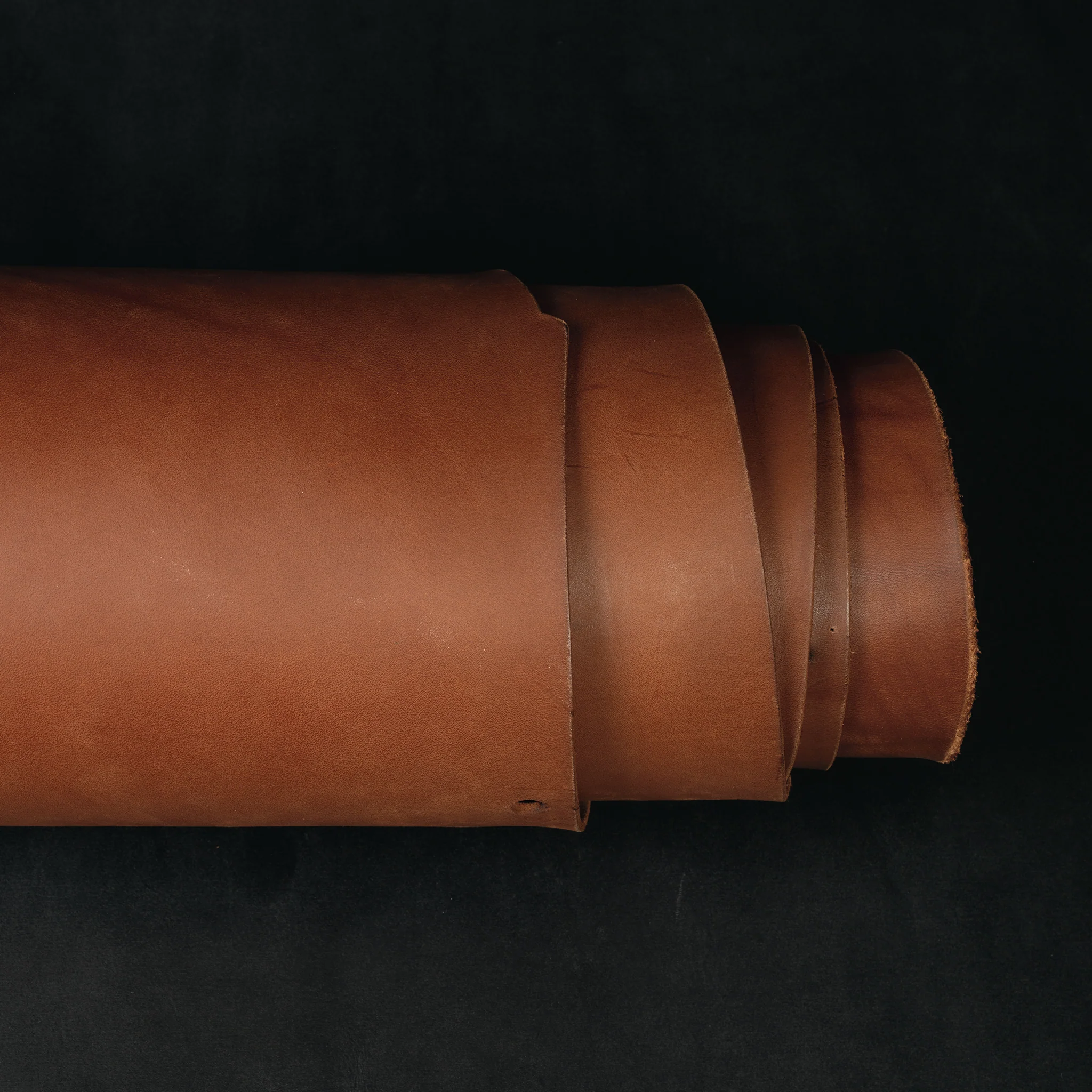 9293-sample-chahinleather-holster-leather-1.webp