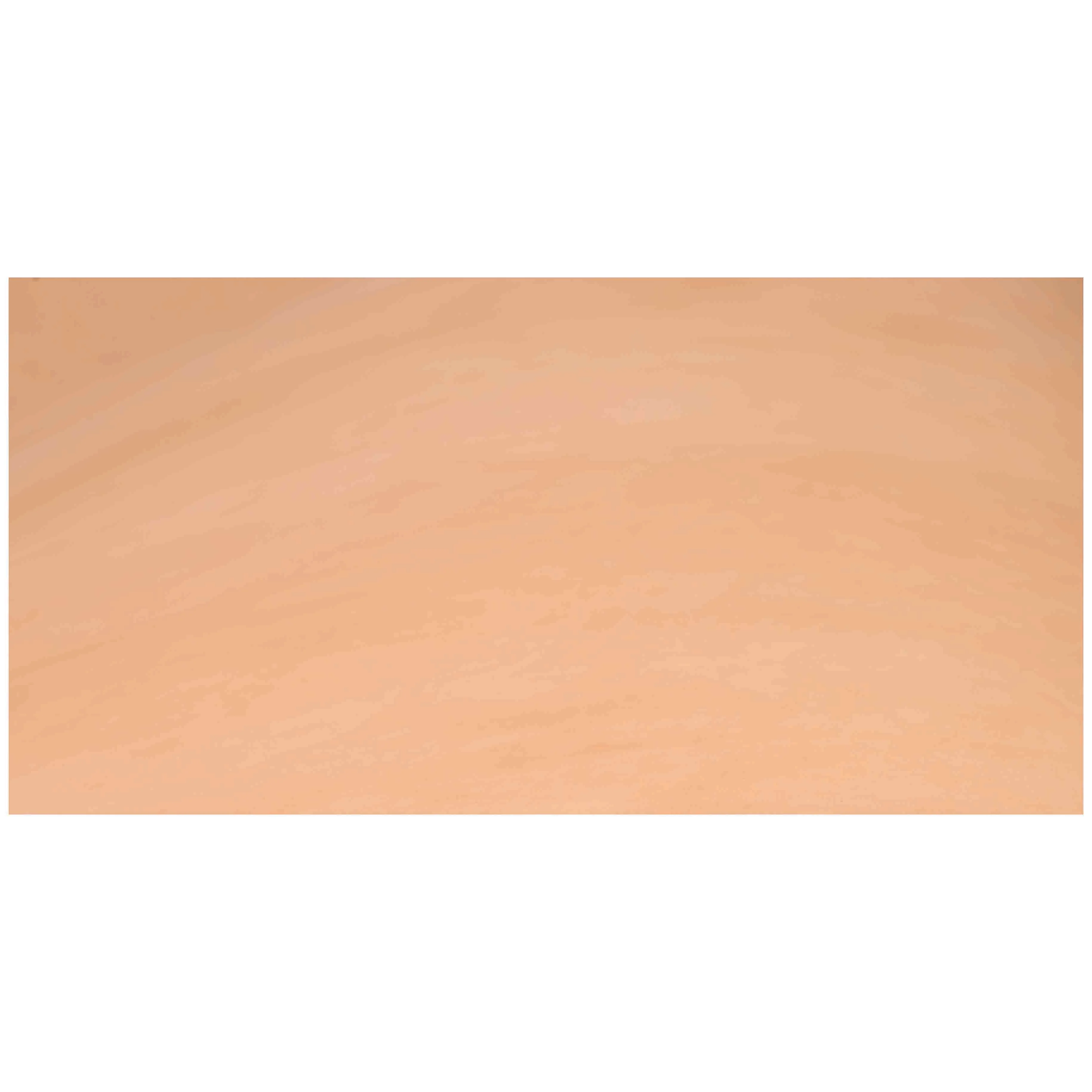 CHAHINLEATHERÂ® Veg-Tan Leather Panel