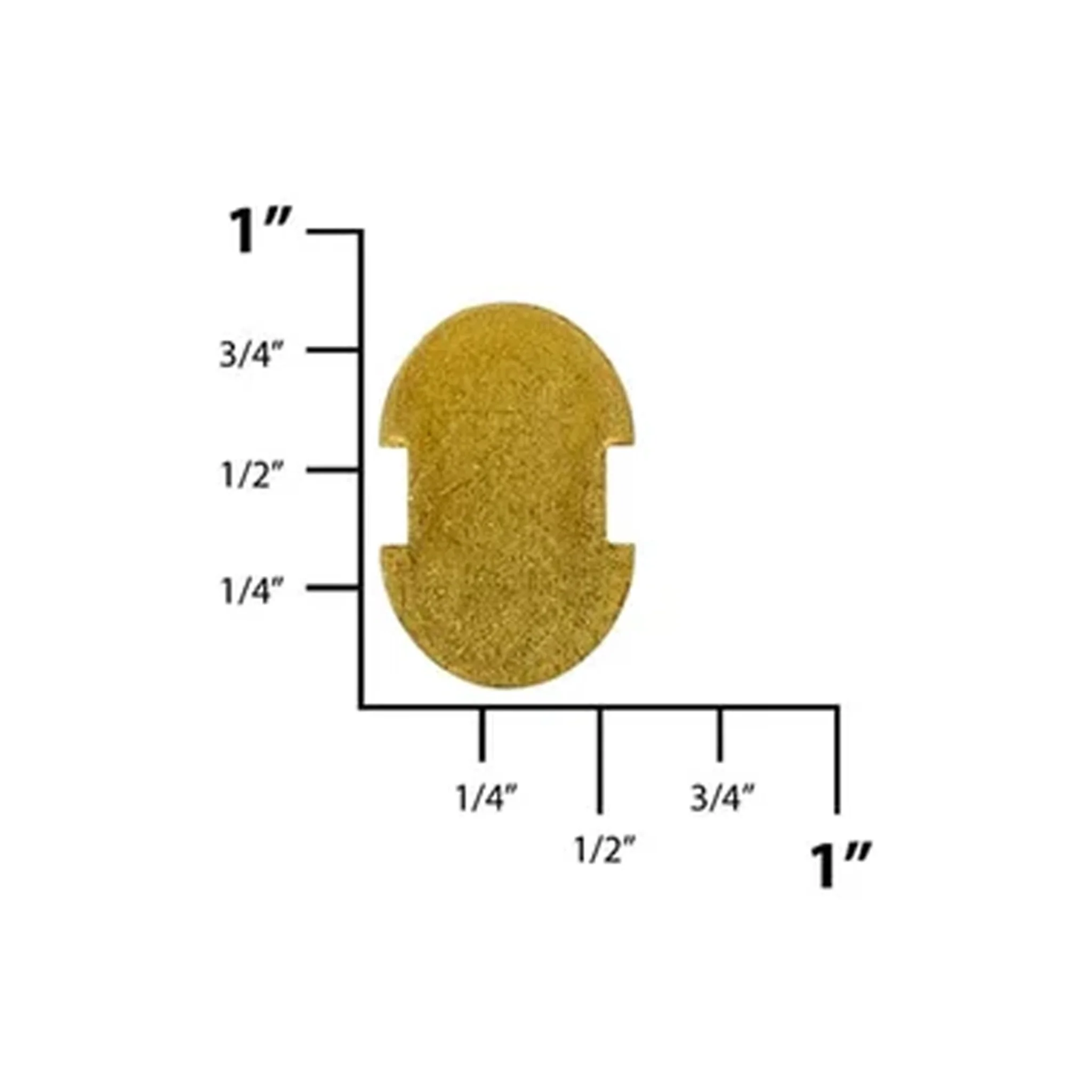 6198-common-sense-13-16-brass-back-plate-zinc-alloy-1.webp