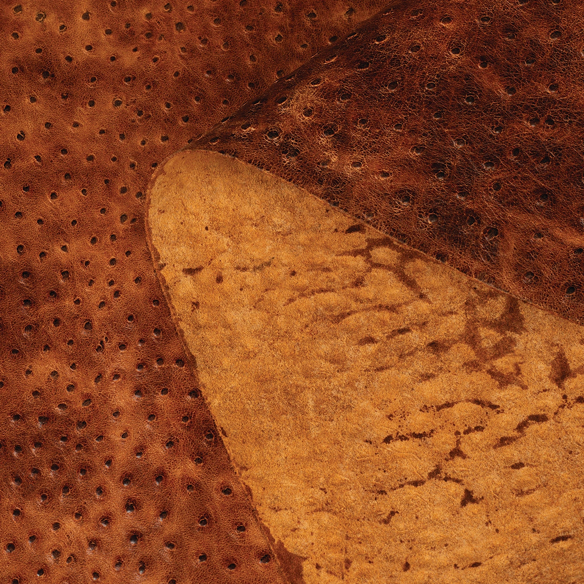 6648-embossed-leather-2-3-oz-ostrich-cognac-1.webp