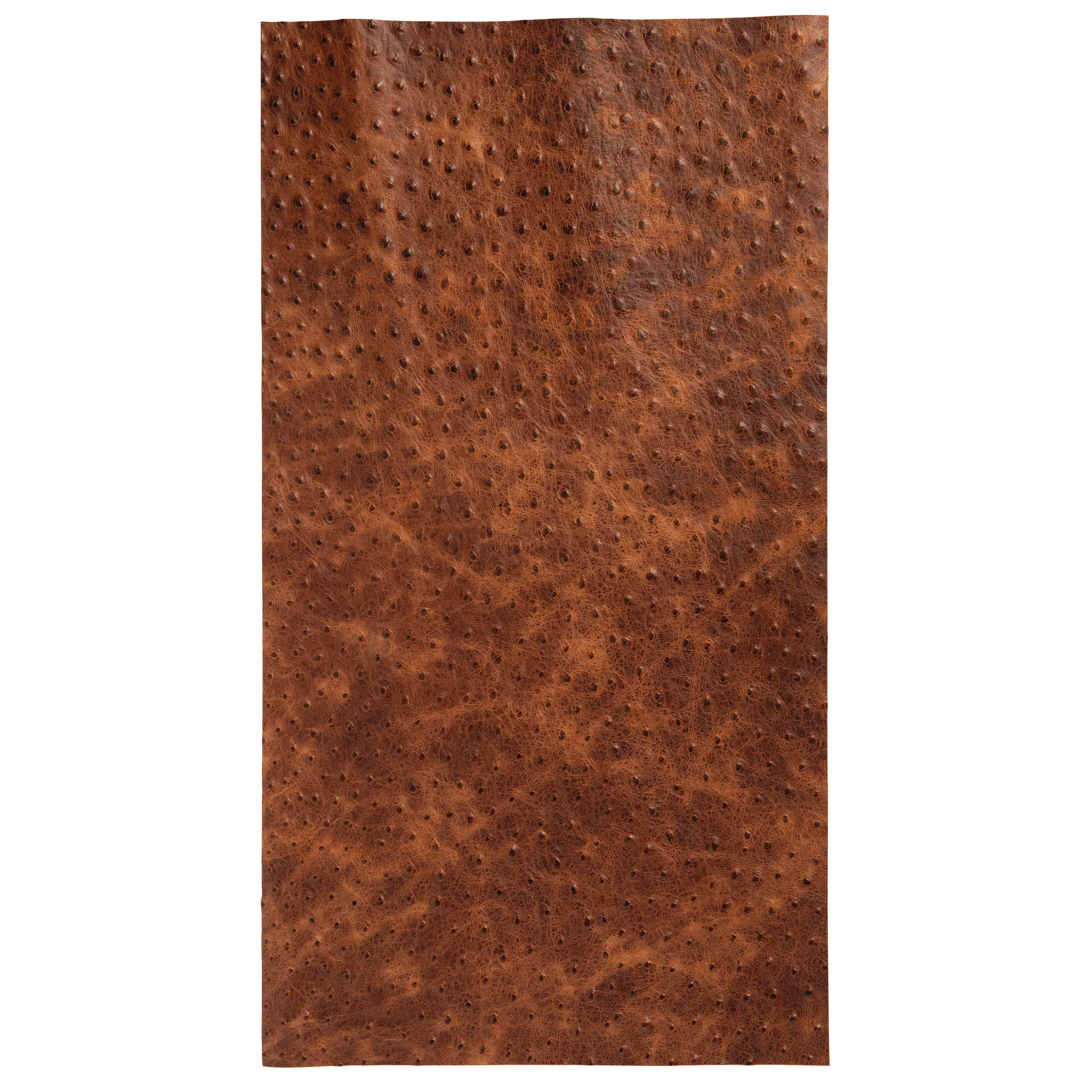 6648-embossed-leather-2-3-oz-ostrich-cognac-1.webp