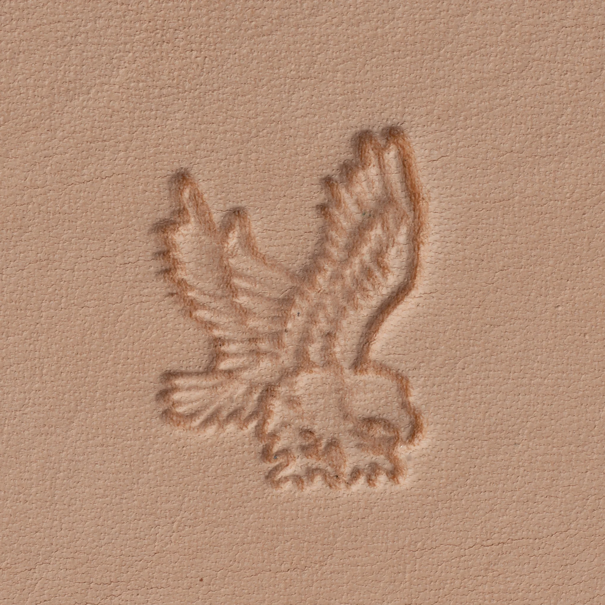 7175-flying-eagle-stamping-tool-z727-1.webp