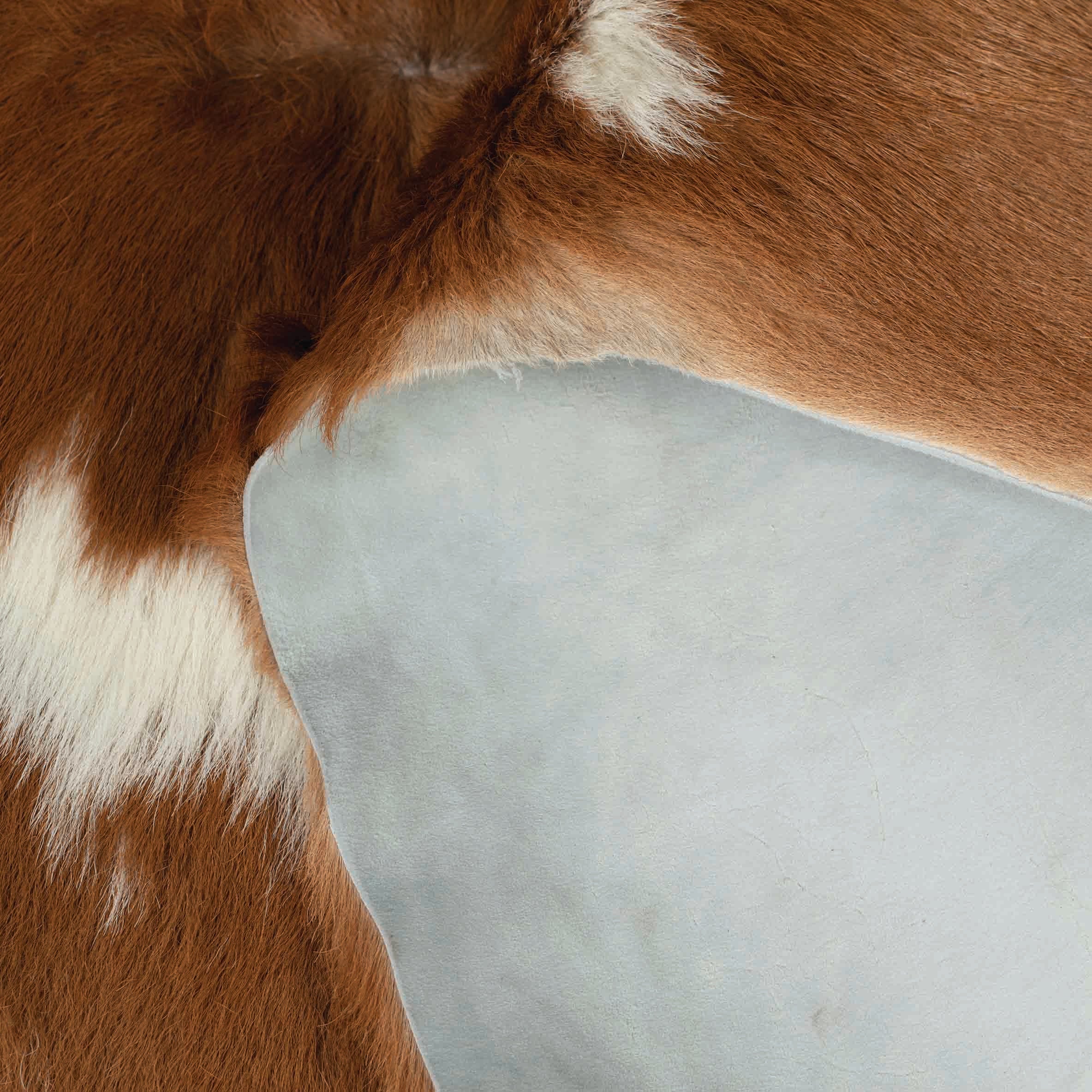 Hair-On Calf Hide, 2 to 3 oz.