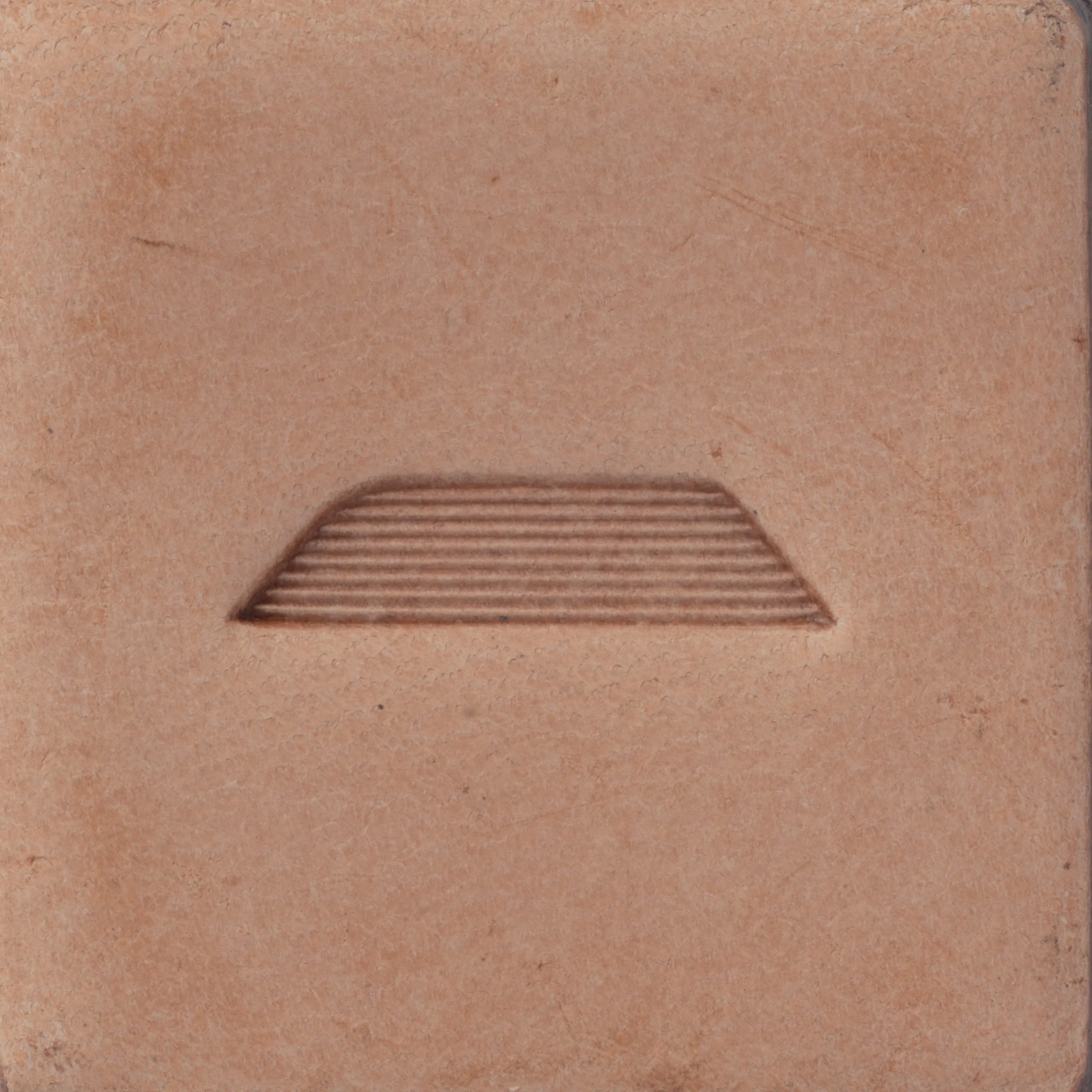 Leaf Liner Stamping Tool 1 7909-leaf-liner-stamping-tool-1.webp