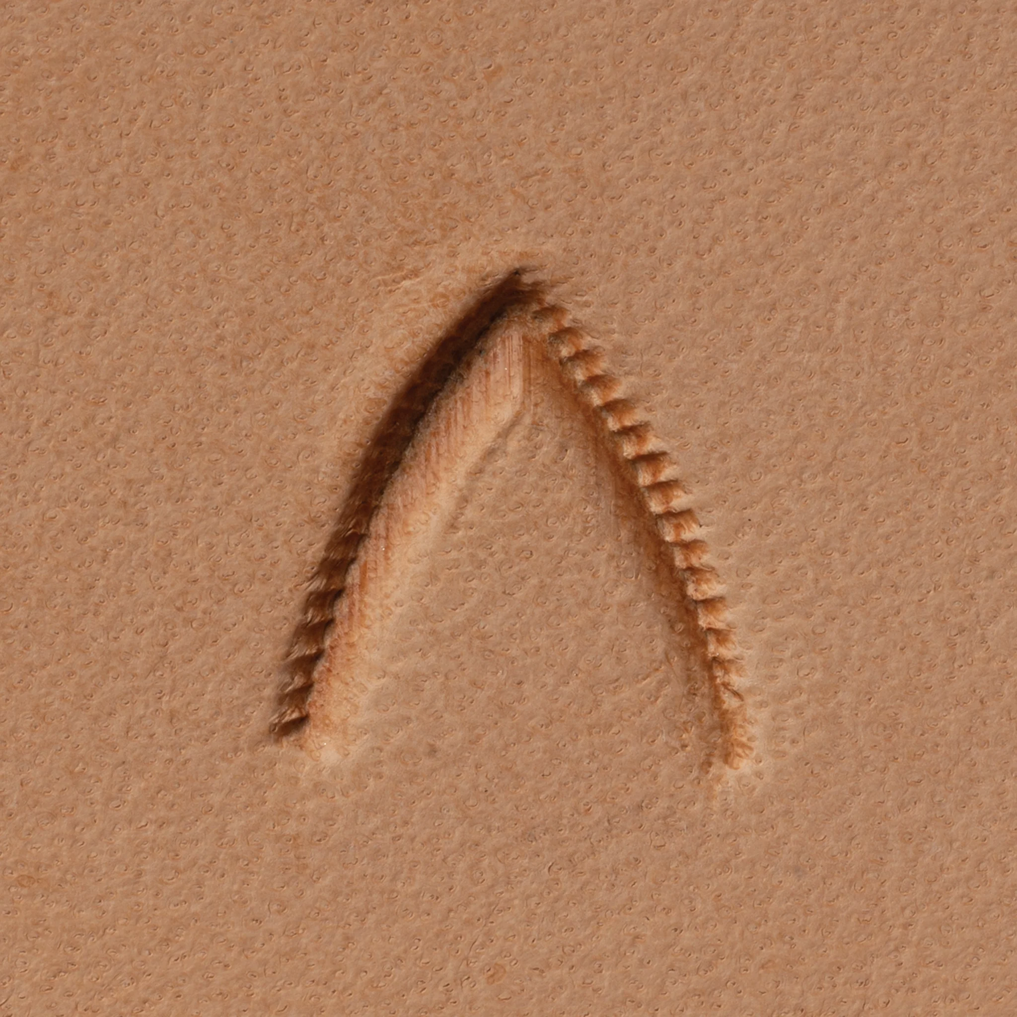 8331-mulefoot-leather-stamping-tool-1.webp