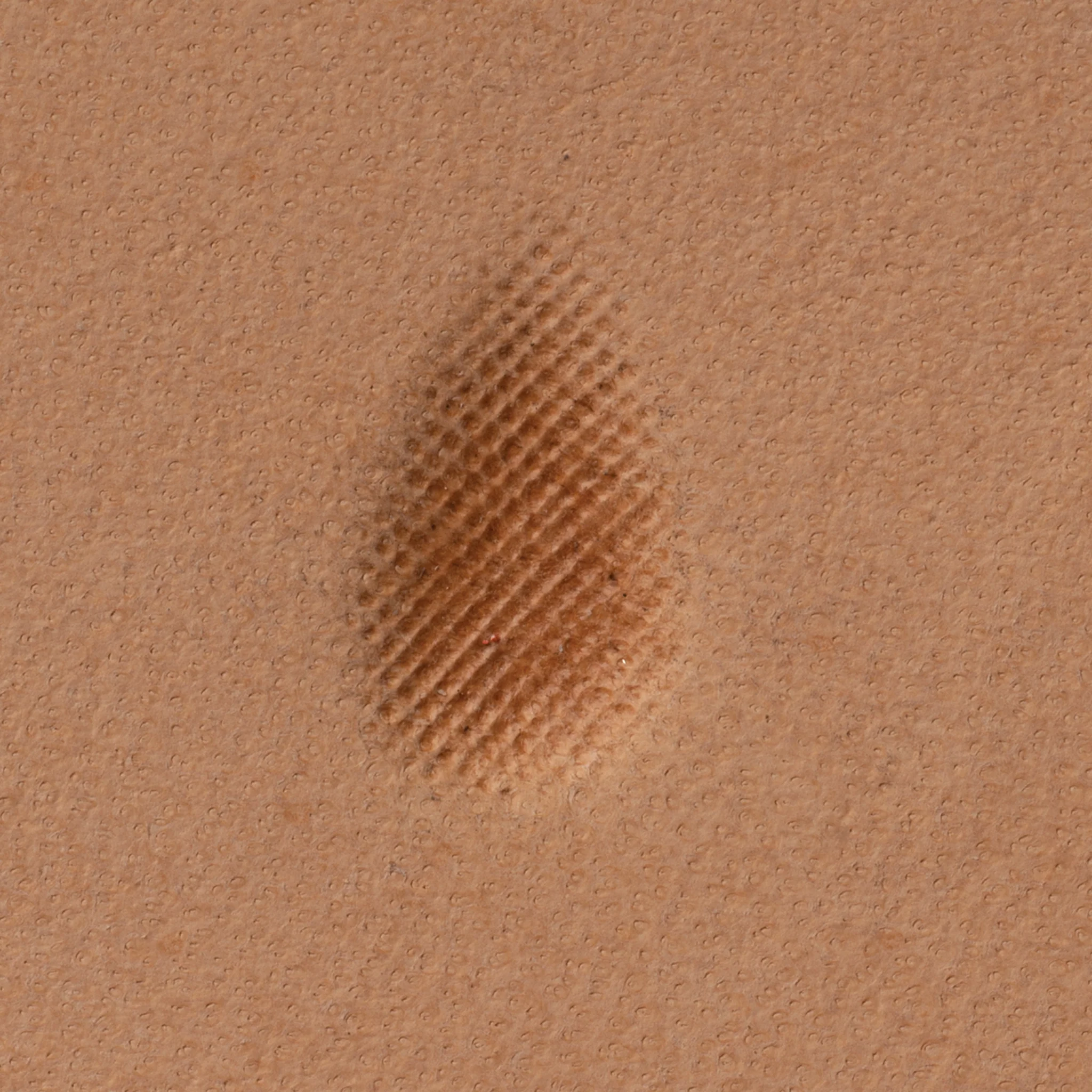 8520-pear-shader-stamping-tool-1.webp