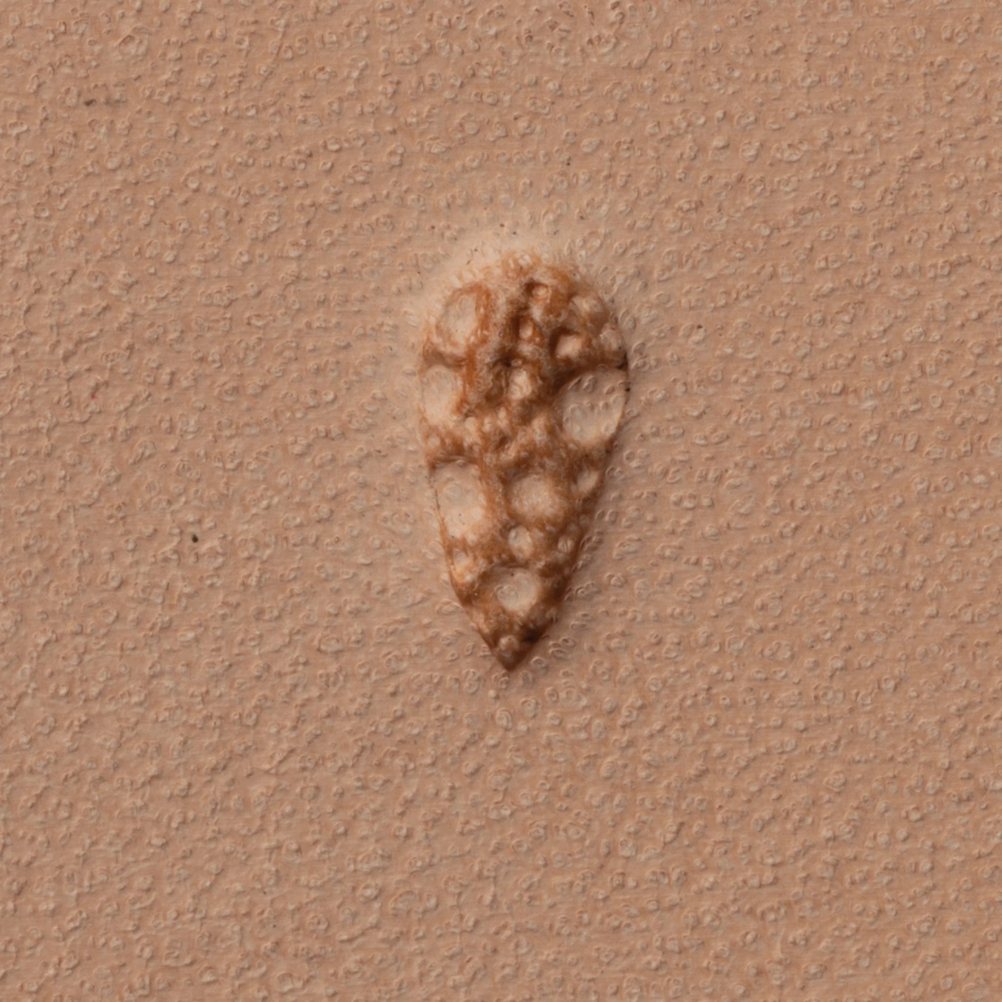 Pebble Background Stamping Tool 1 8527-pebble-background-stamping-tool-1.webp