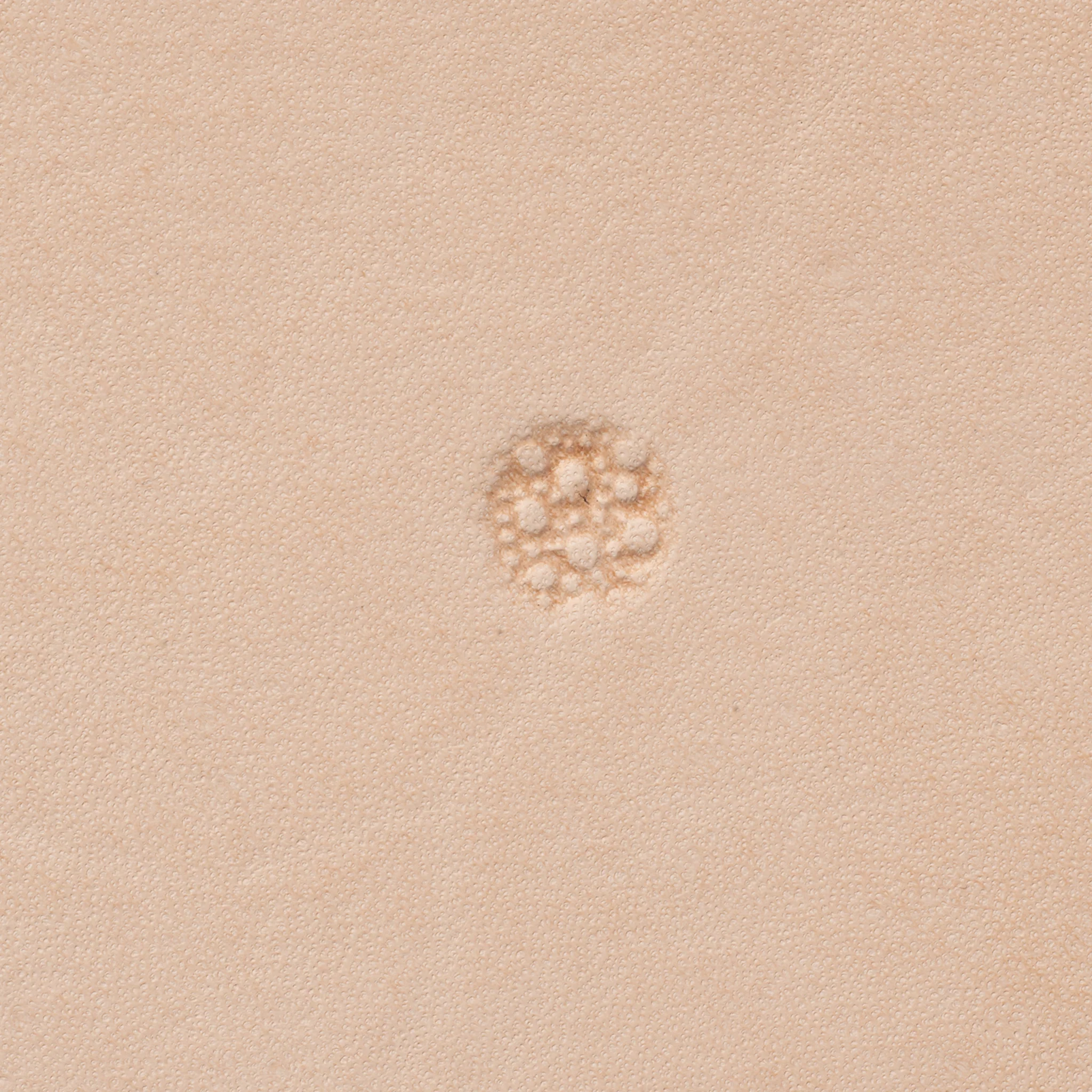 8527-pebble-background-stamping-tool-1.webp