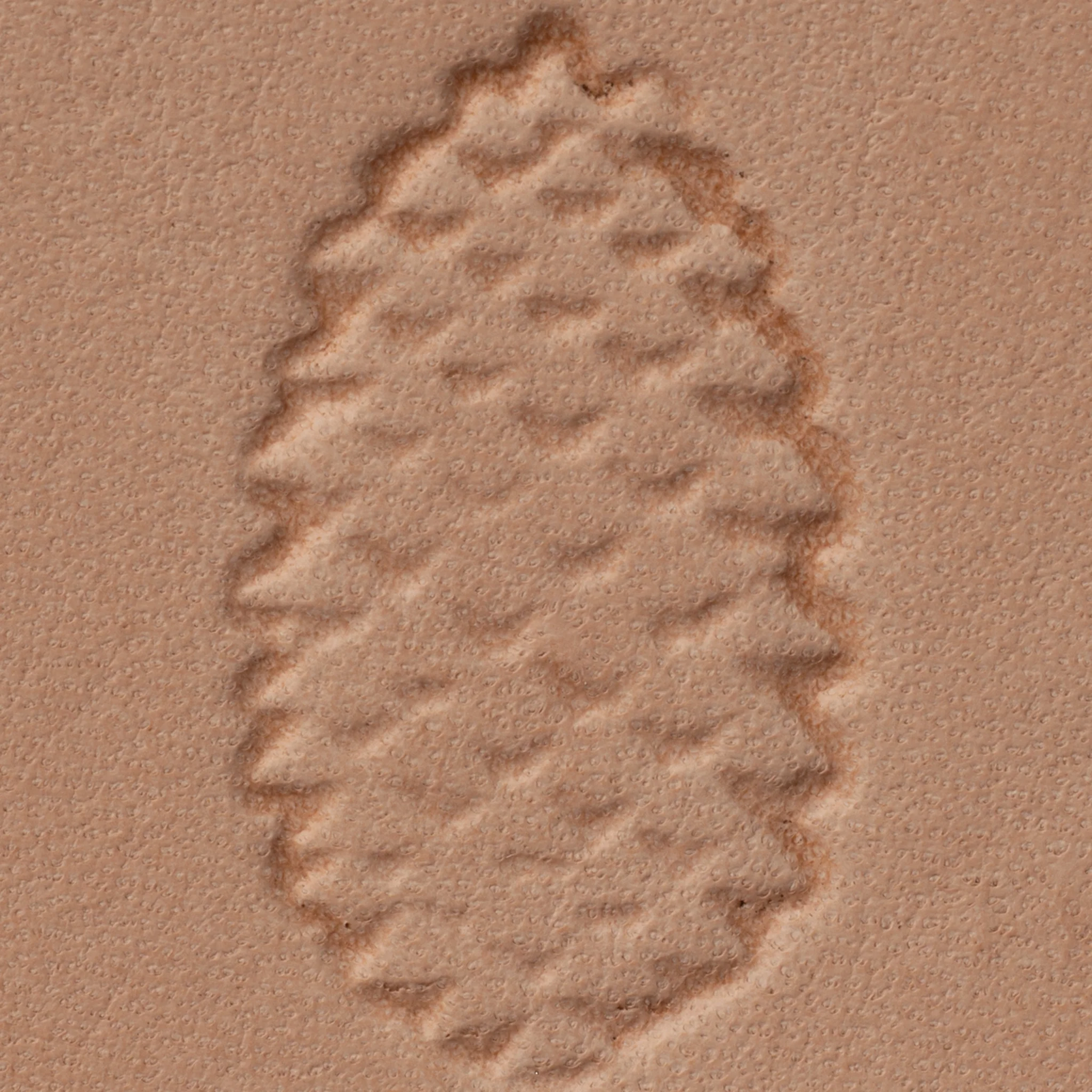 8553-pine-cone-stamping-tool-w568-1.webp