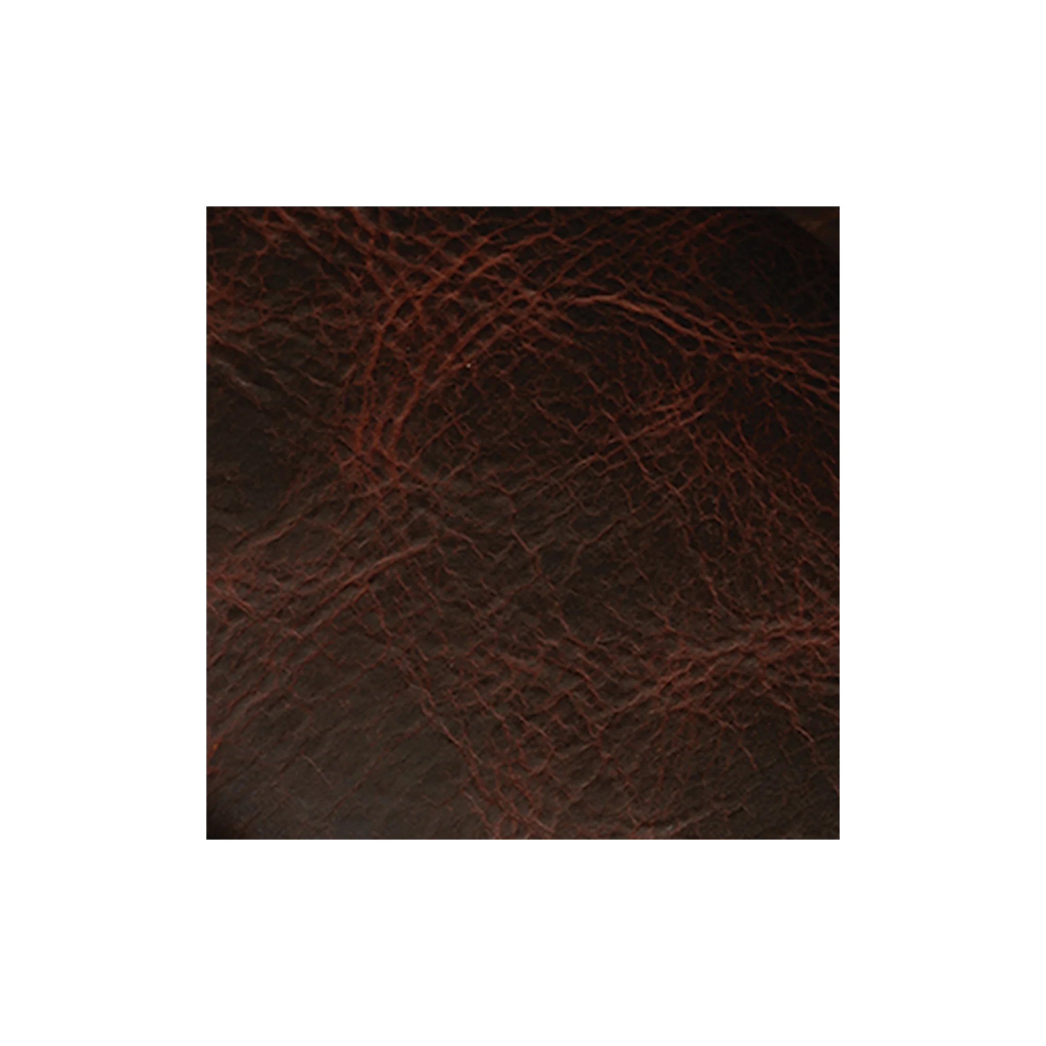 Sample, American Bison Leather, Side