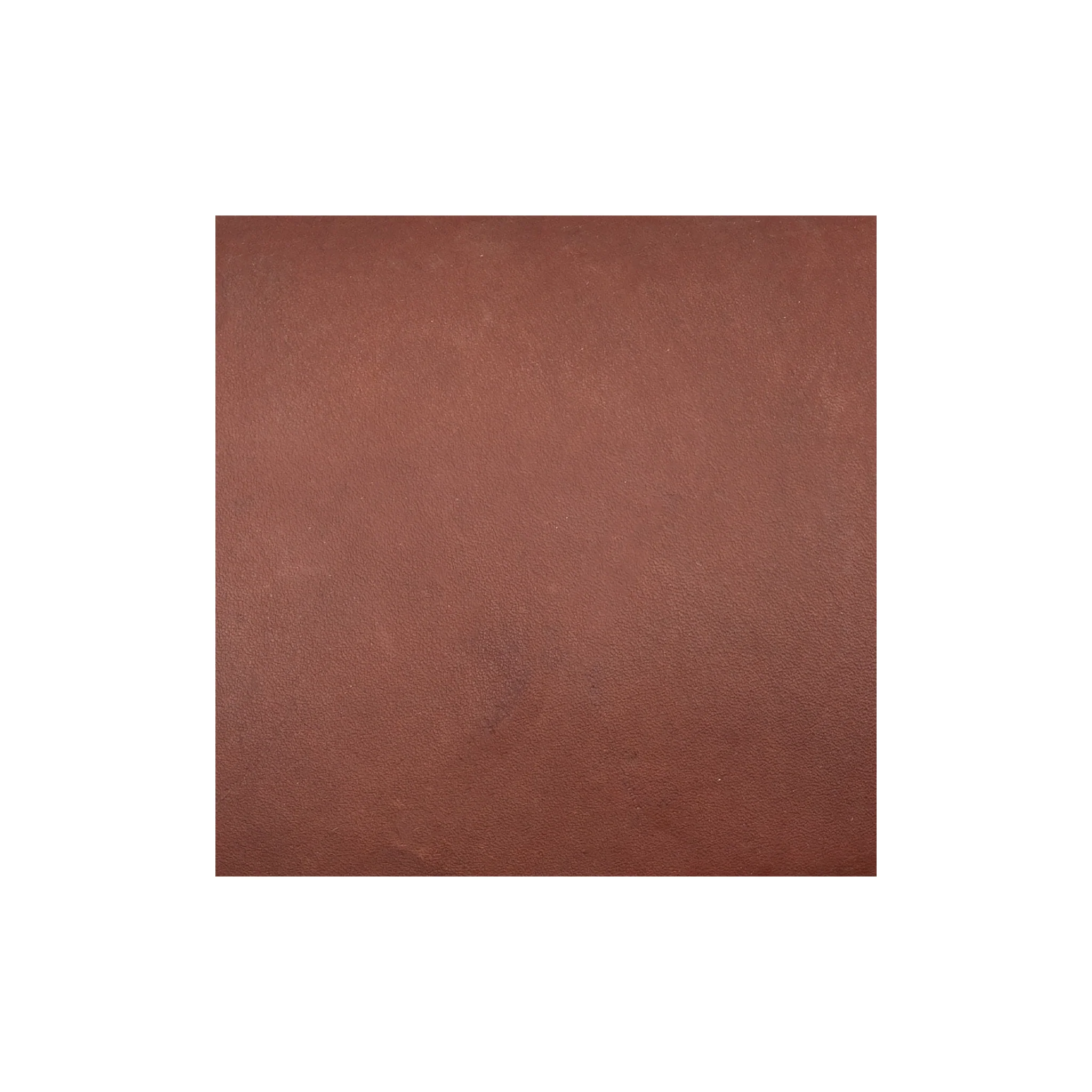Sample, CHAHINLEATHER® Lace Double Backs, 5 to 7 oz.