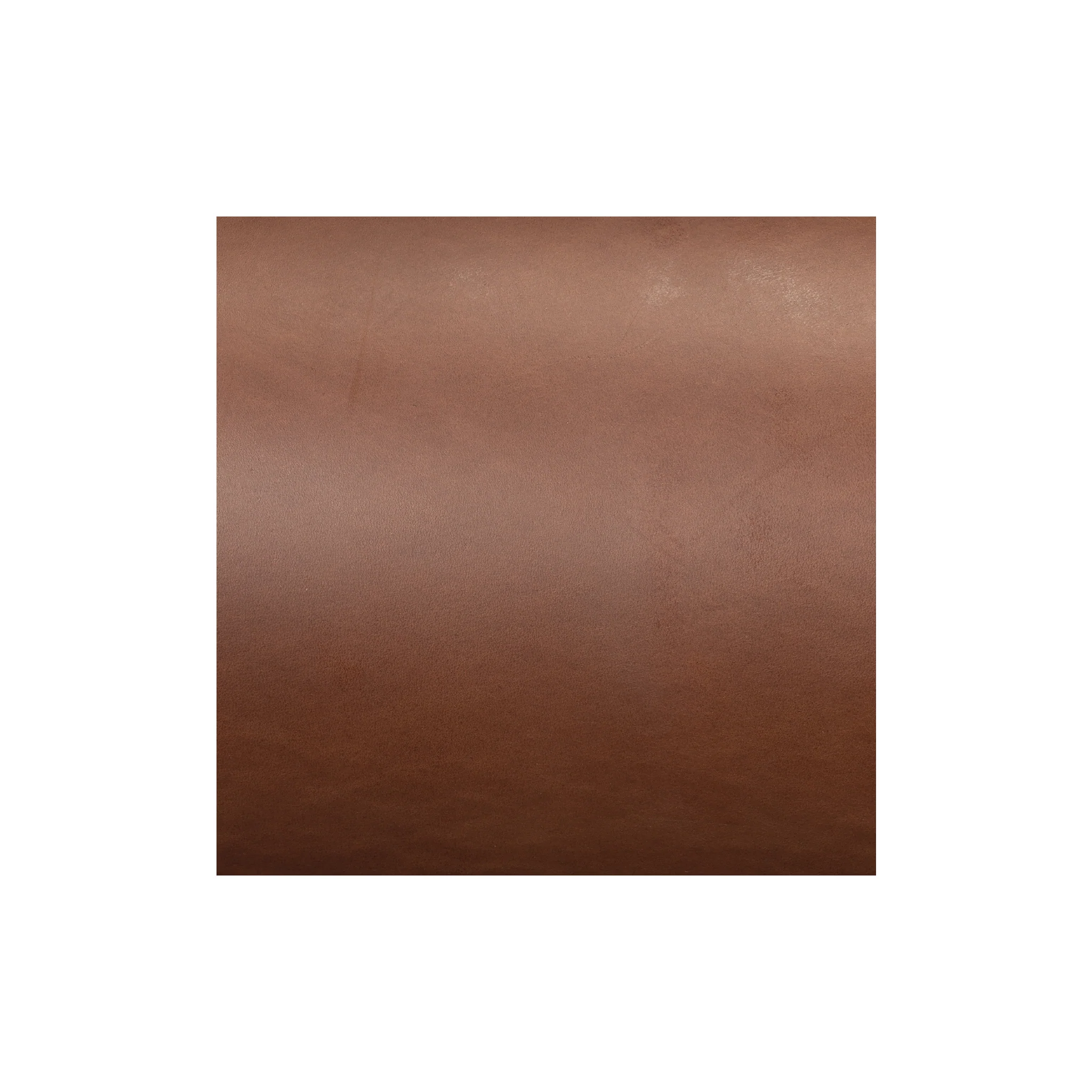 9319-sample-chahinleather-latigo-leather-1.webp