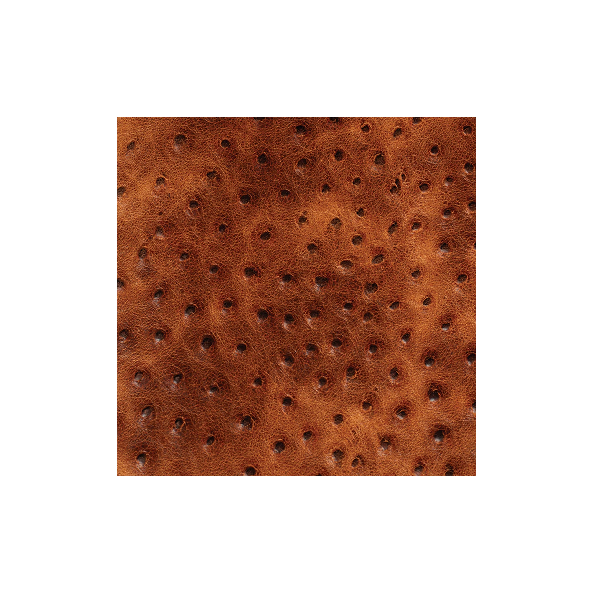 Sample, Embossed Leather, 2-3 oz., Ostrich Brown 1 9458-sample-embossed-leather-2-3-oz-ostrich-brown-1.webp