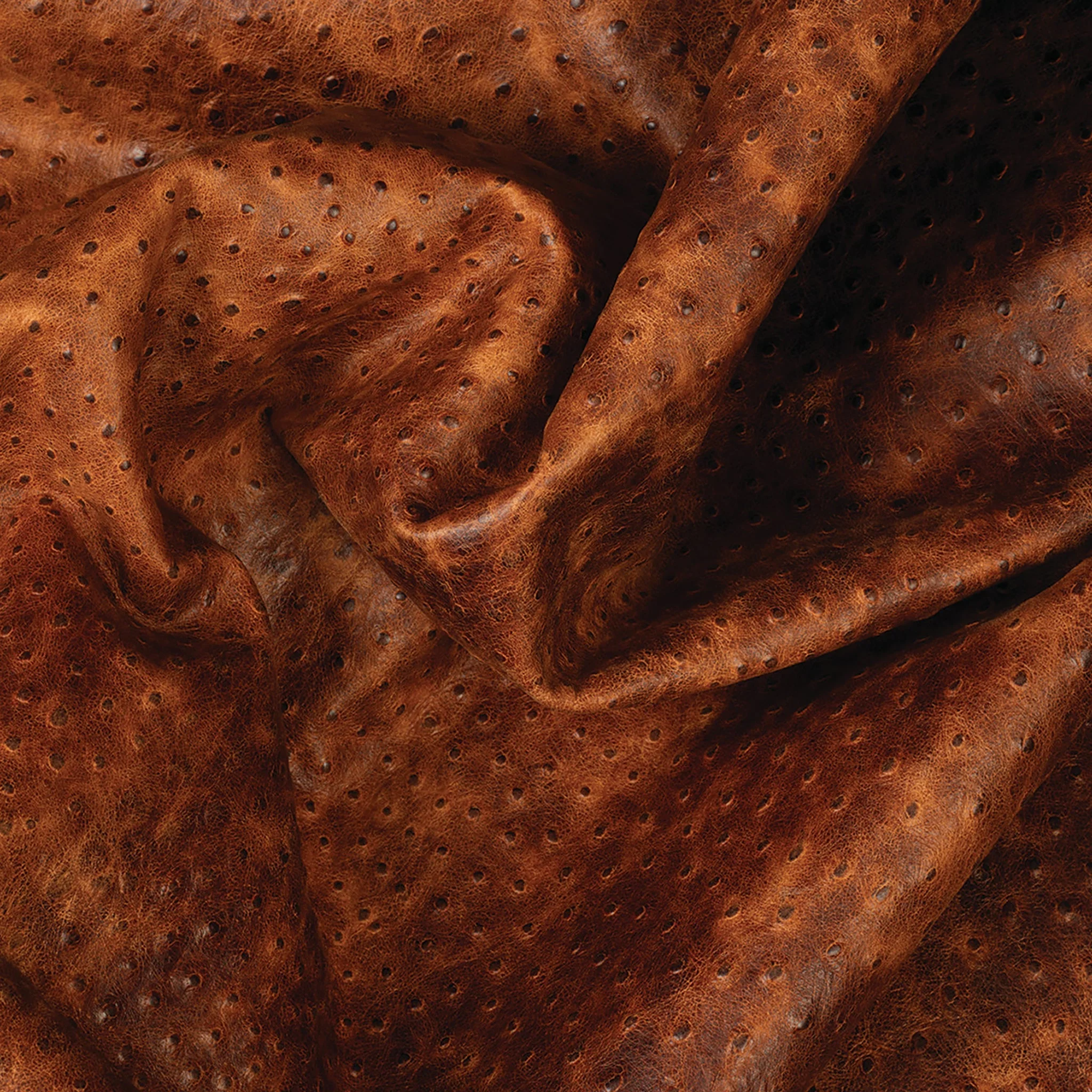 9458-sample-embossed-leather-2-3-oz-ostrich-brown-1.webp