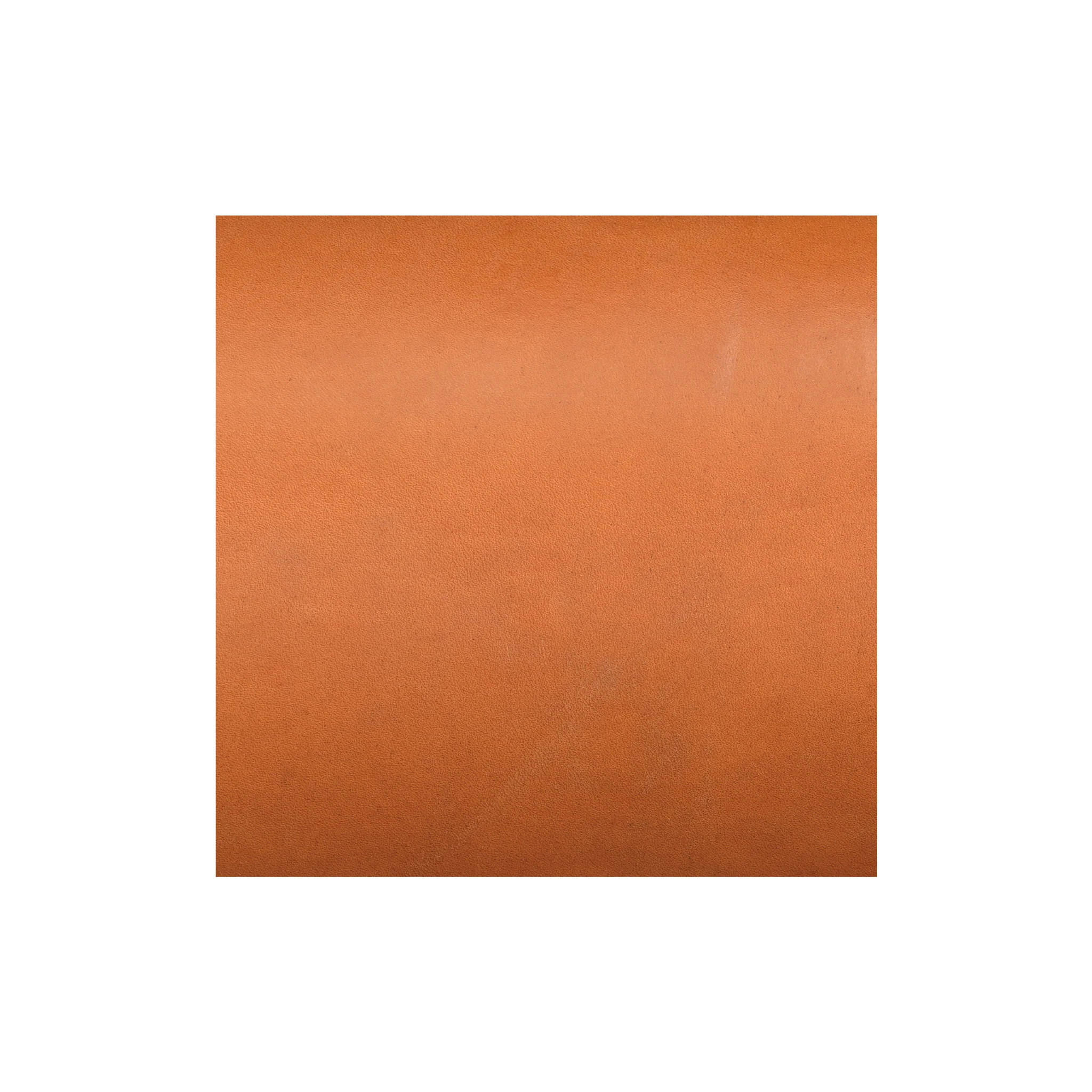 9511-sample-hermann-oak-bridle-leather-sides-1.webp