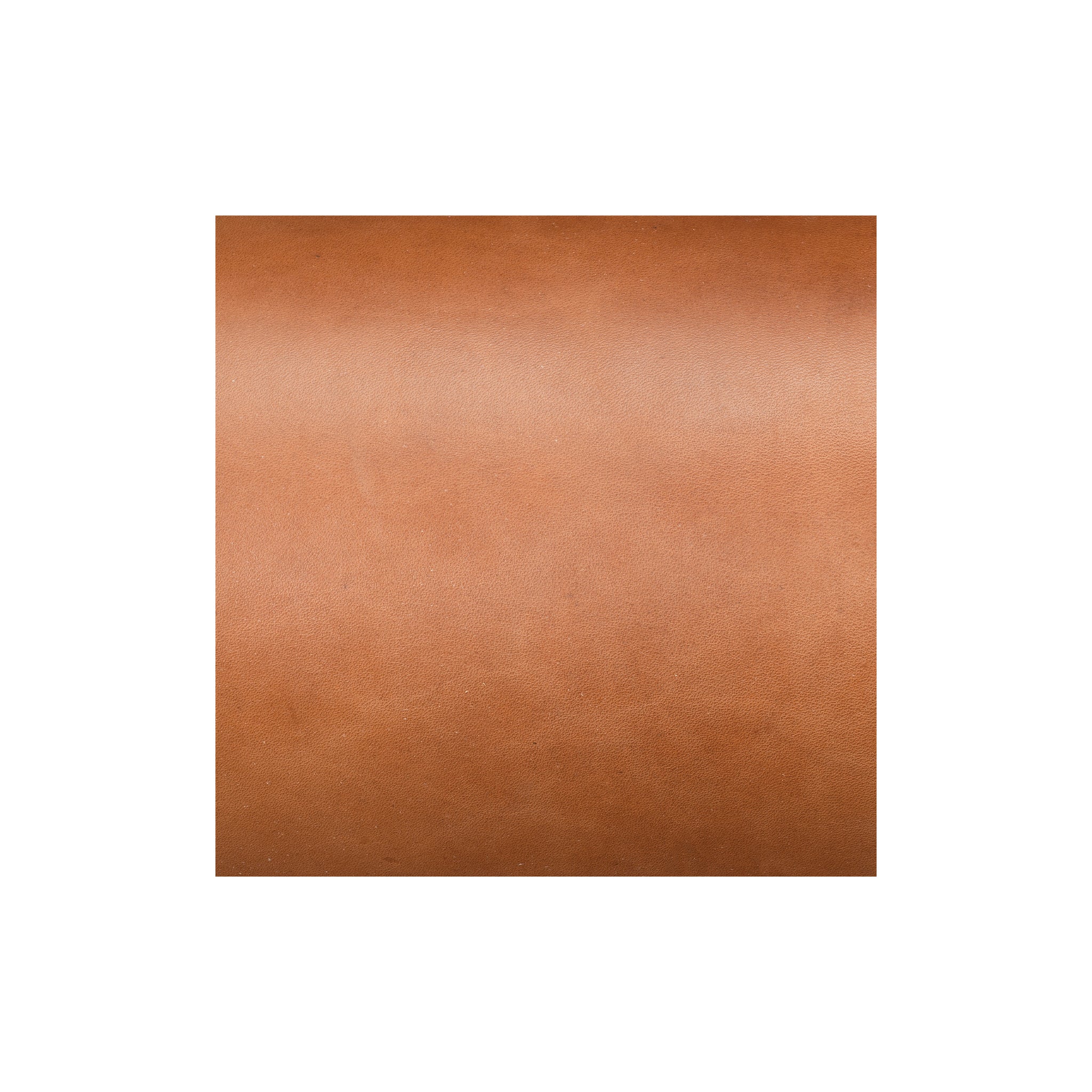 9511-sample-hermann-oak-bridle-leather-sides-1.webp