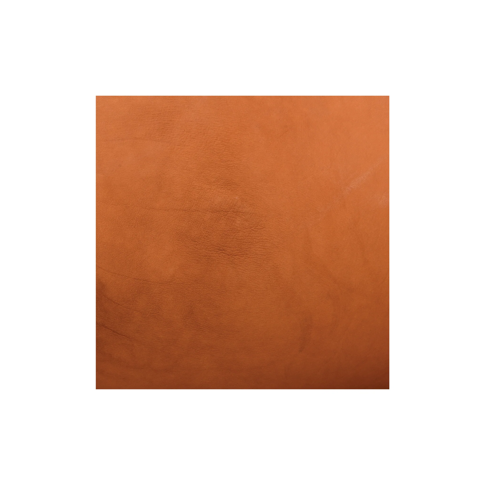 Sample, Hermann OakÂ® Saddle Skirting Leather