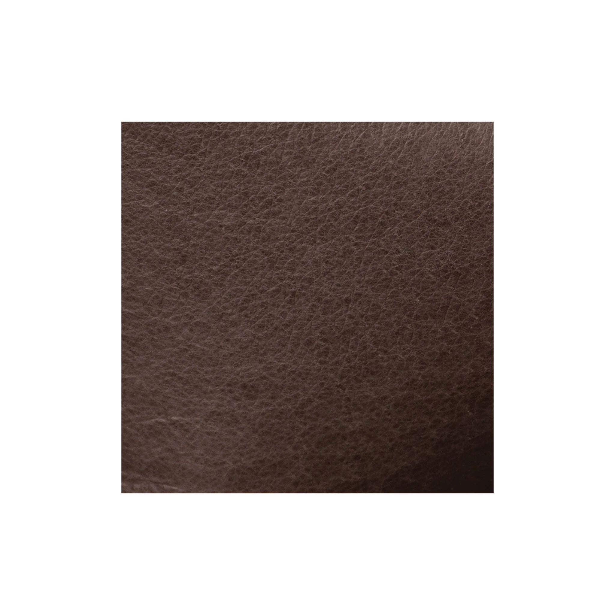 9625-sample-pigskin-lining-hide-1-to-2-oz–1.webp