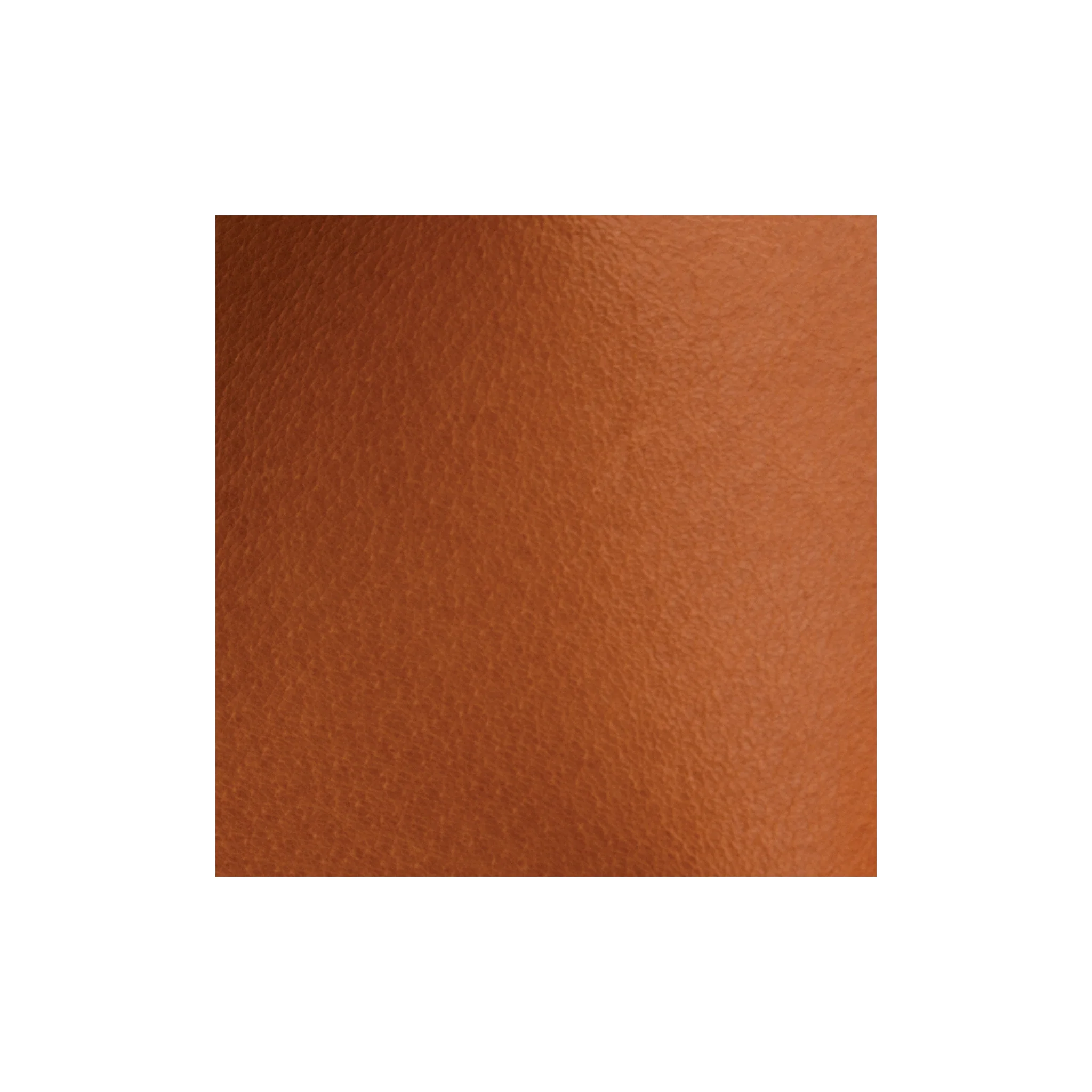 9625-sample-pigskin-lining-hide-1-to-2-oz–1.webp