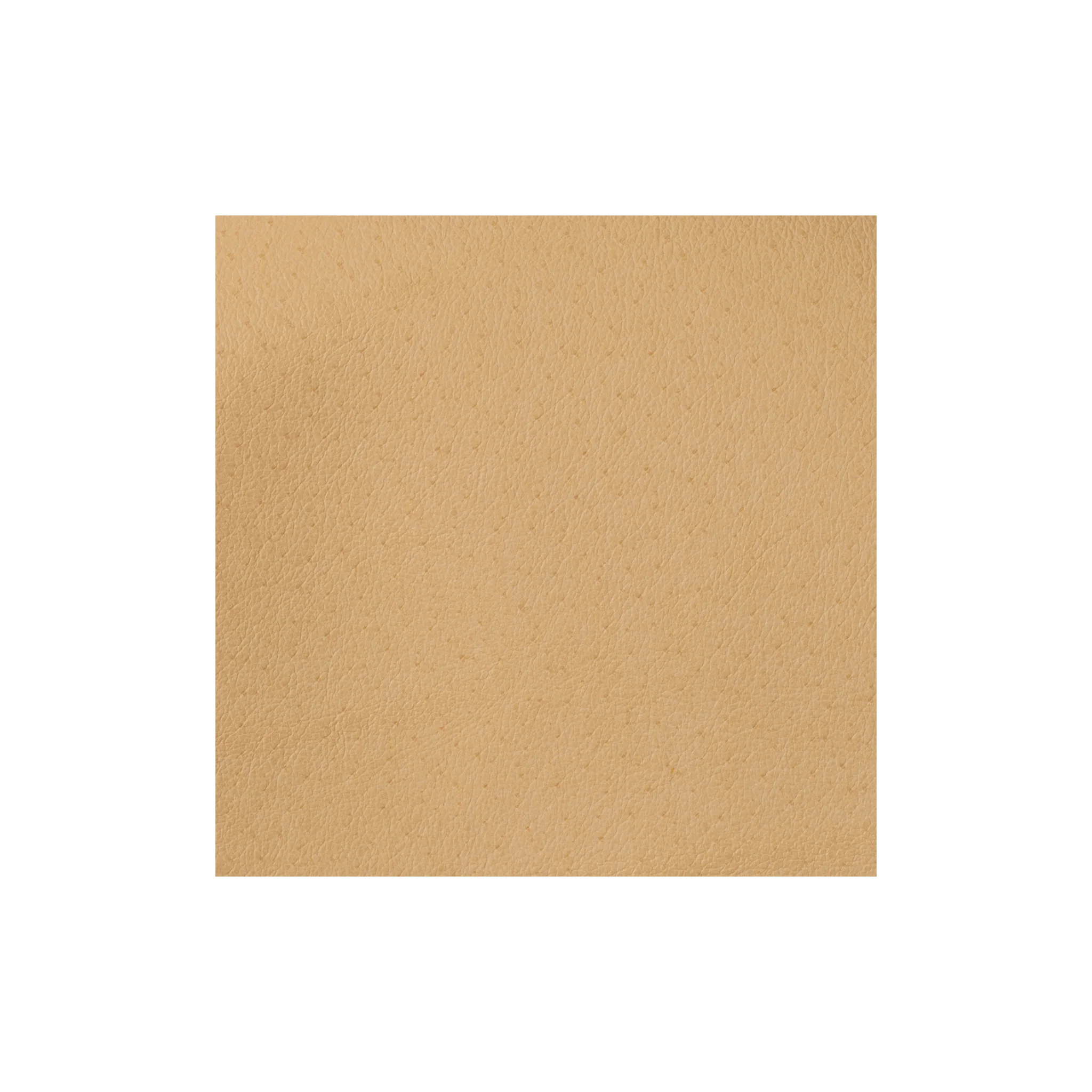 9625-sample-pigskin-lining-hide-1-to-2-oz–1.webp
