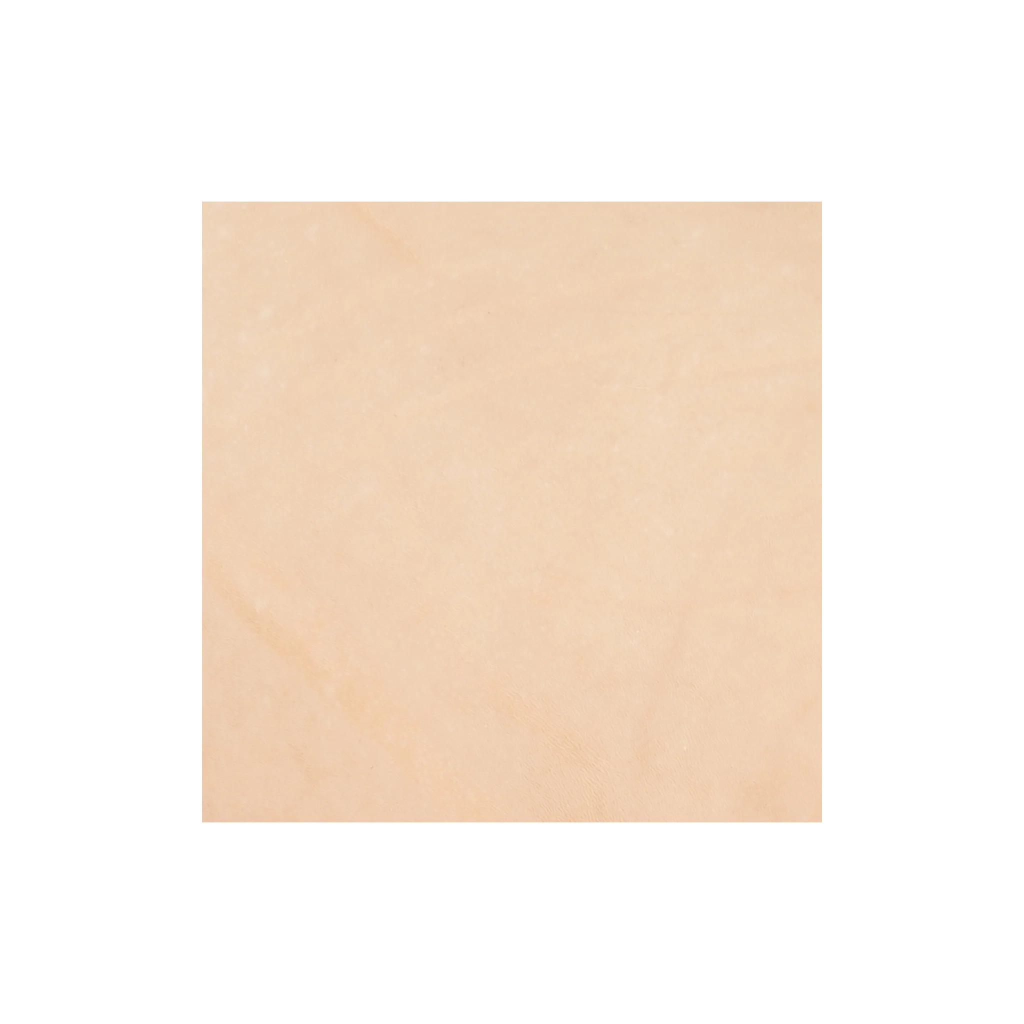 Sample, Veg Tanned Double Back with Finished Back, 8/9 oz.