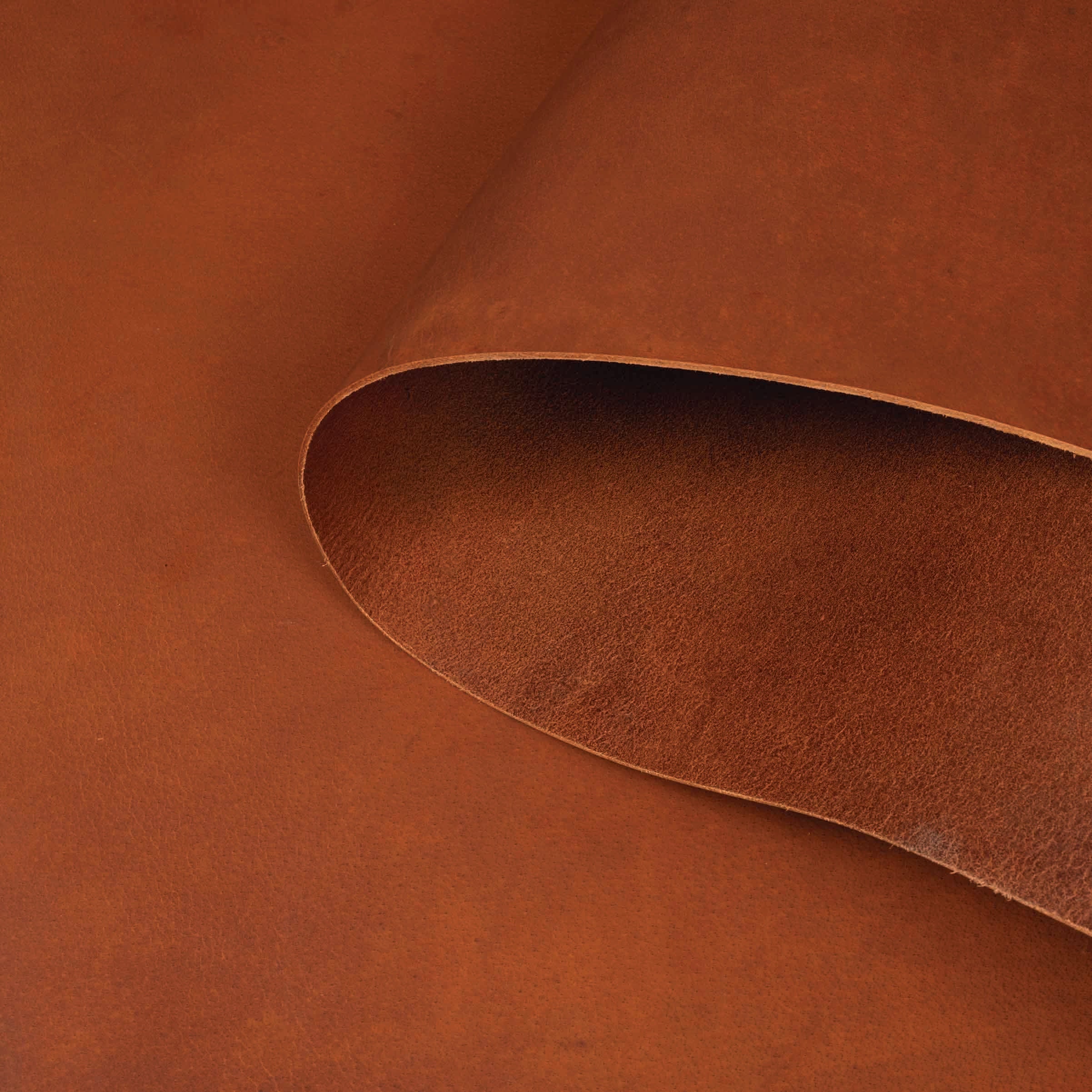 9780-sample-water-buffalo-leather-single-bend-1.webp