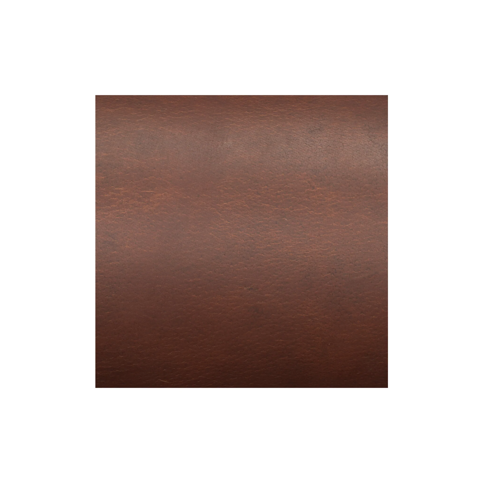 9793-sample-water-buffalo-single-bends-8-9-oz–1.webp