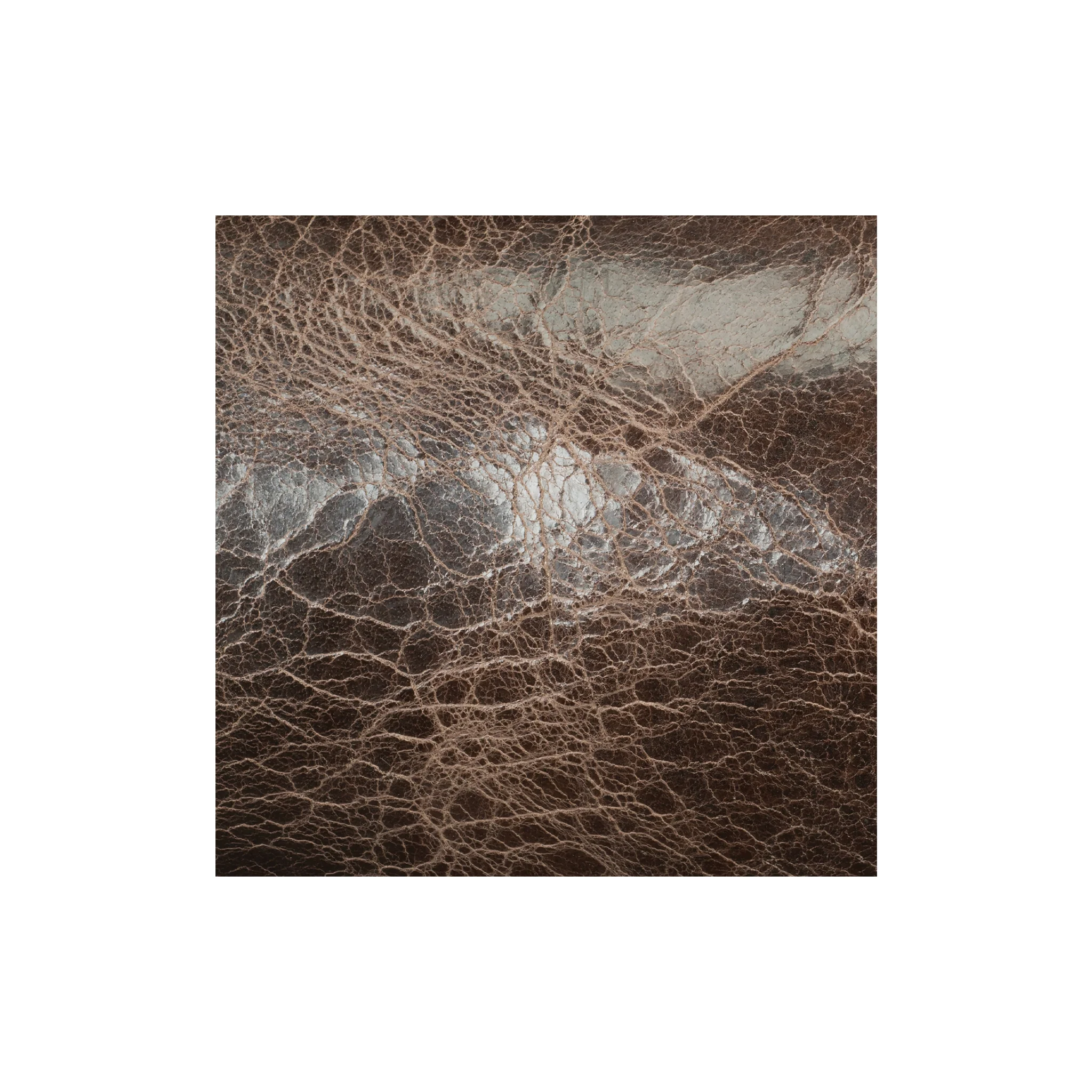 9793-sample-water-buffalo-single-bends-8-9-oz–1.webp