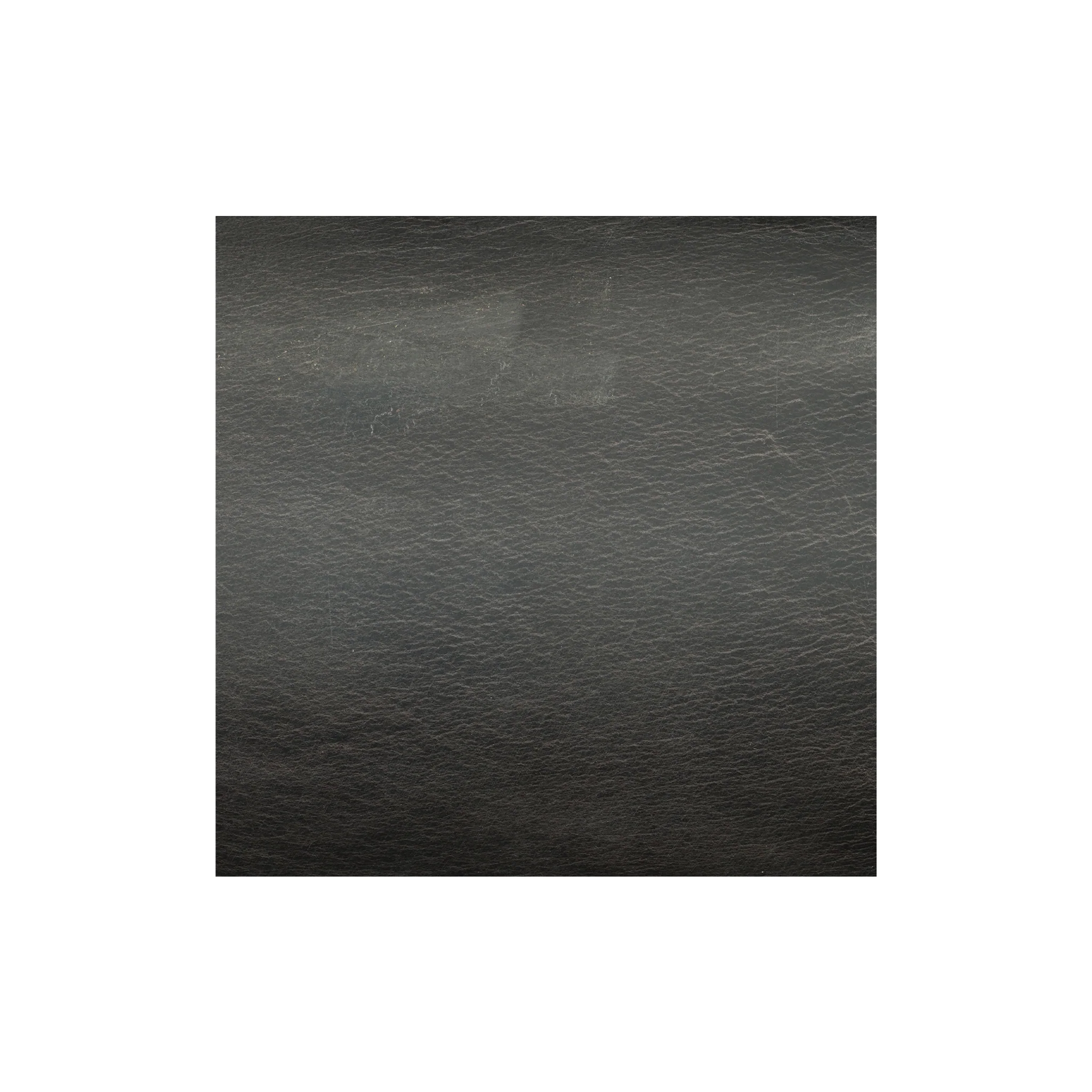 9793-sample-water-buffalo-single-bends-8-9-oz–1.webp