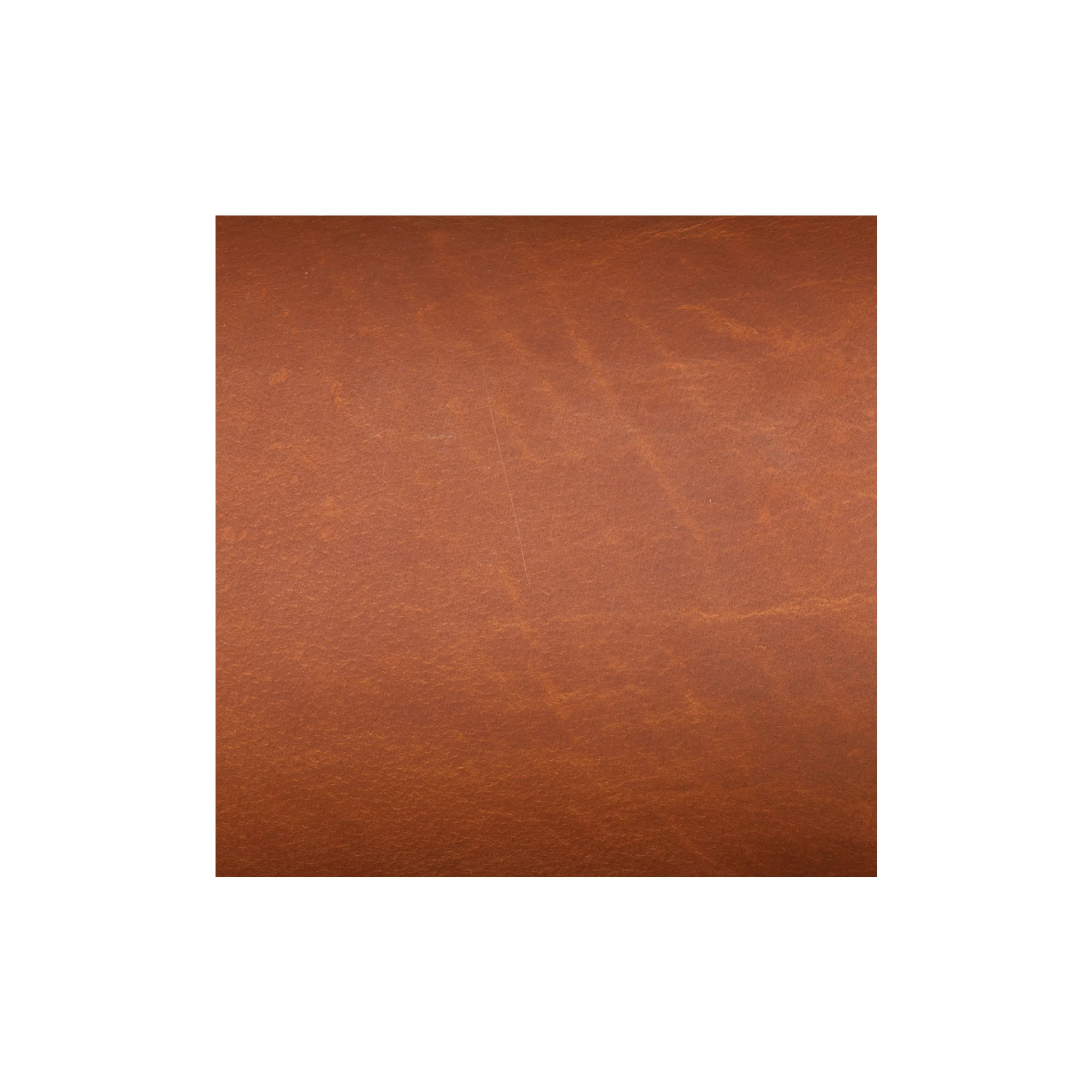 9793-sample-water-buffalo-single-bends-8-9-oz–1.webp