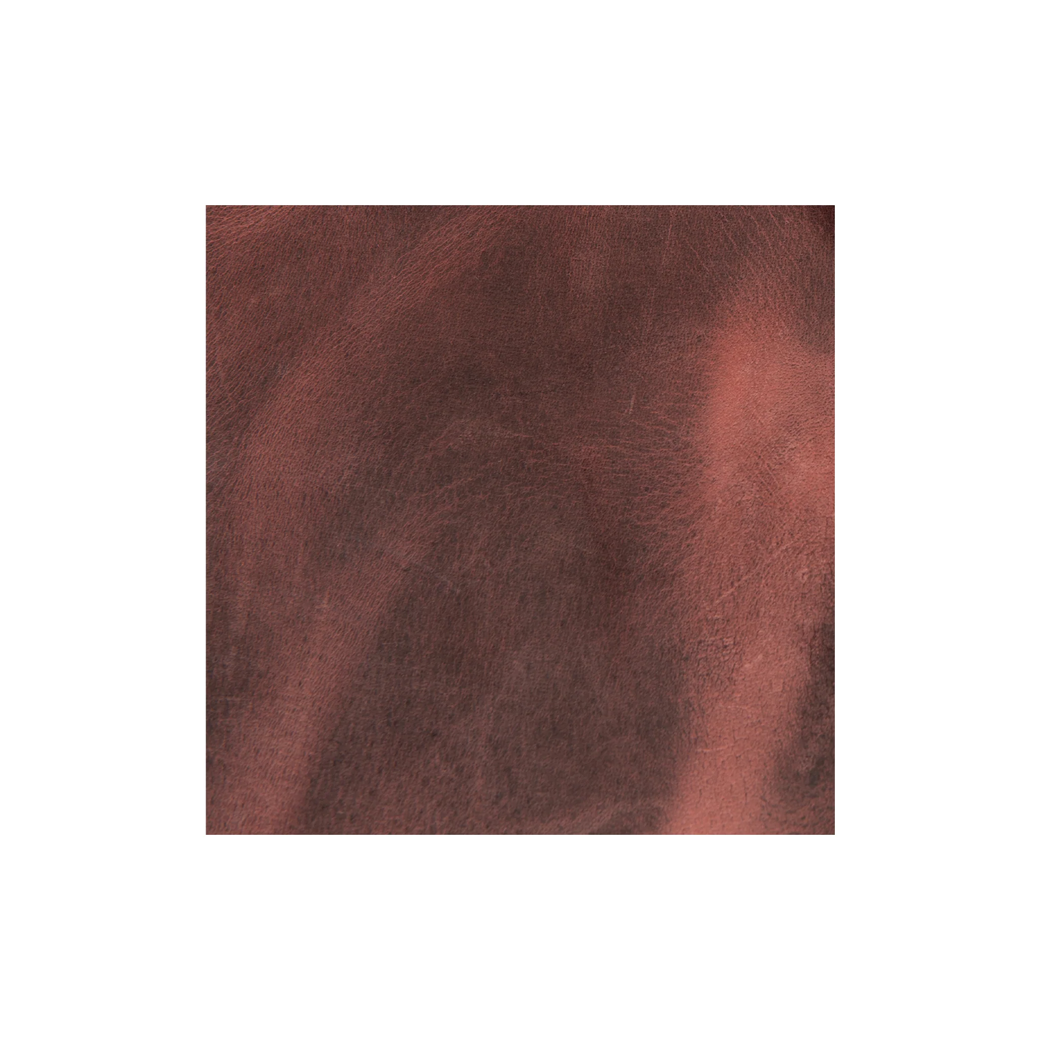 9793-sample-water-buffalo-single-bends-8-9-oz–1.webp